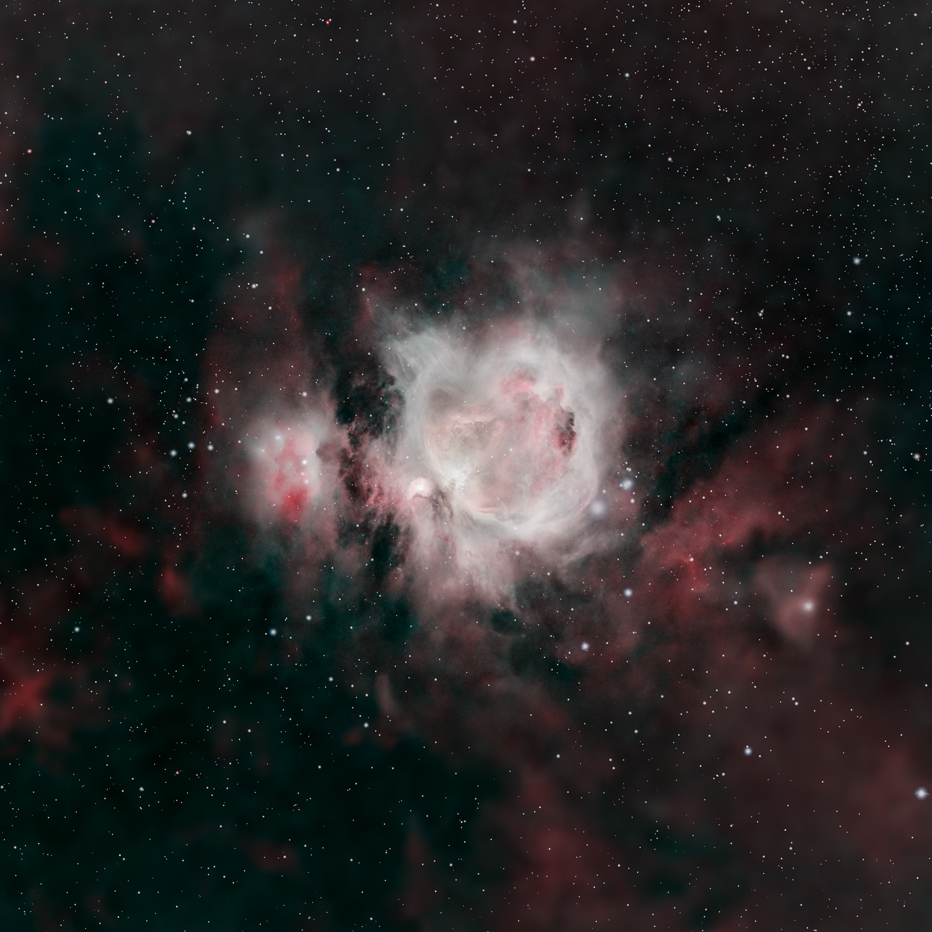 The Orion Nebula 🔭 Telescope: Celestron EdgeHD 8" 📷 Camera: ZWO ASI 533MC Pro 🌀 Mount: NEQ6 Pro 🎯 Filters: Optolong L-eXtreme 🕒 Exposure: 60s per sub, total 2h (4 panels)