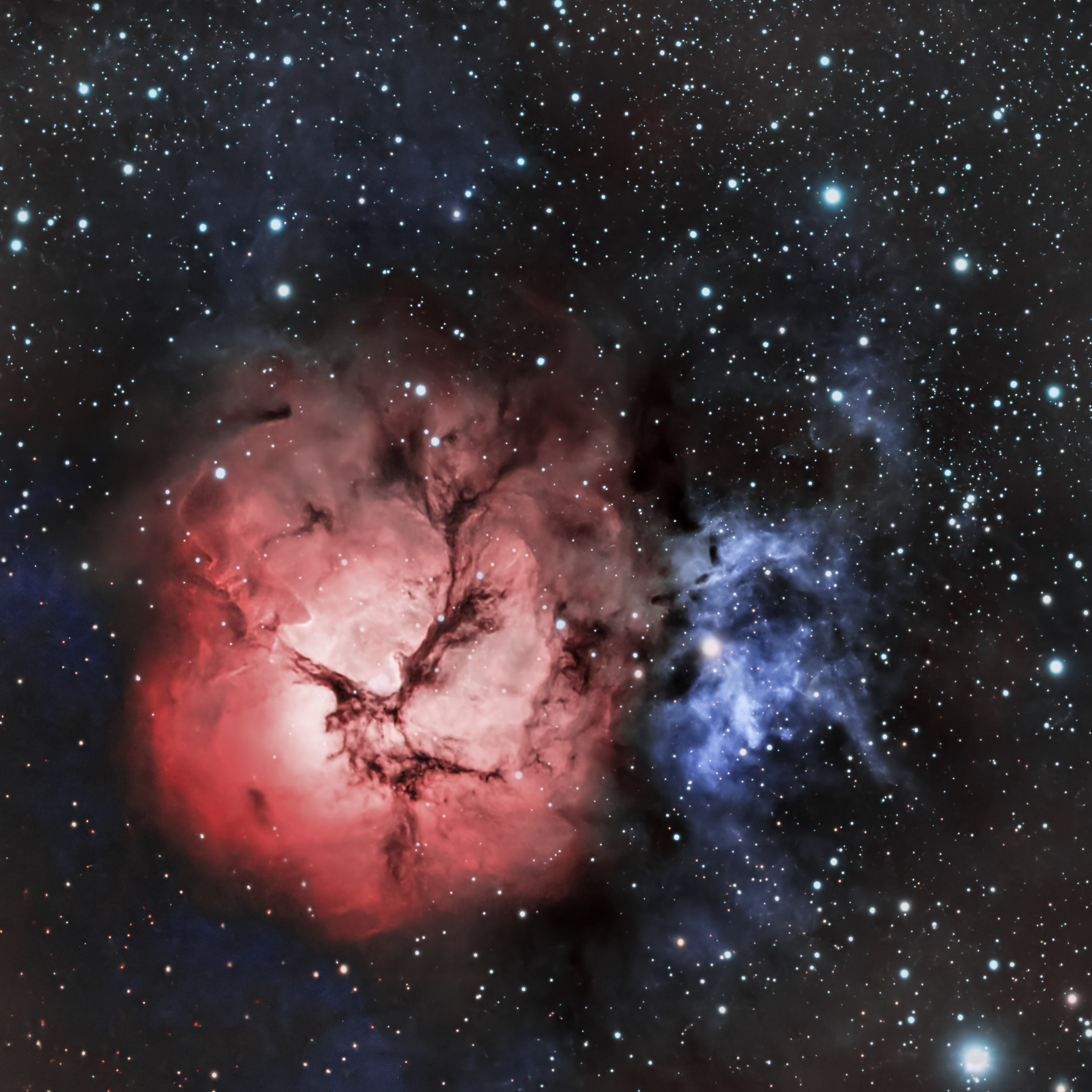Trifid Nebula HOO