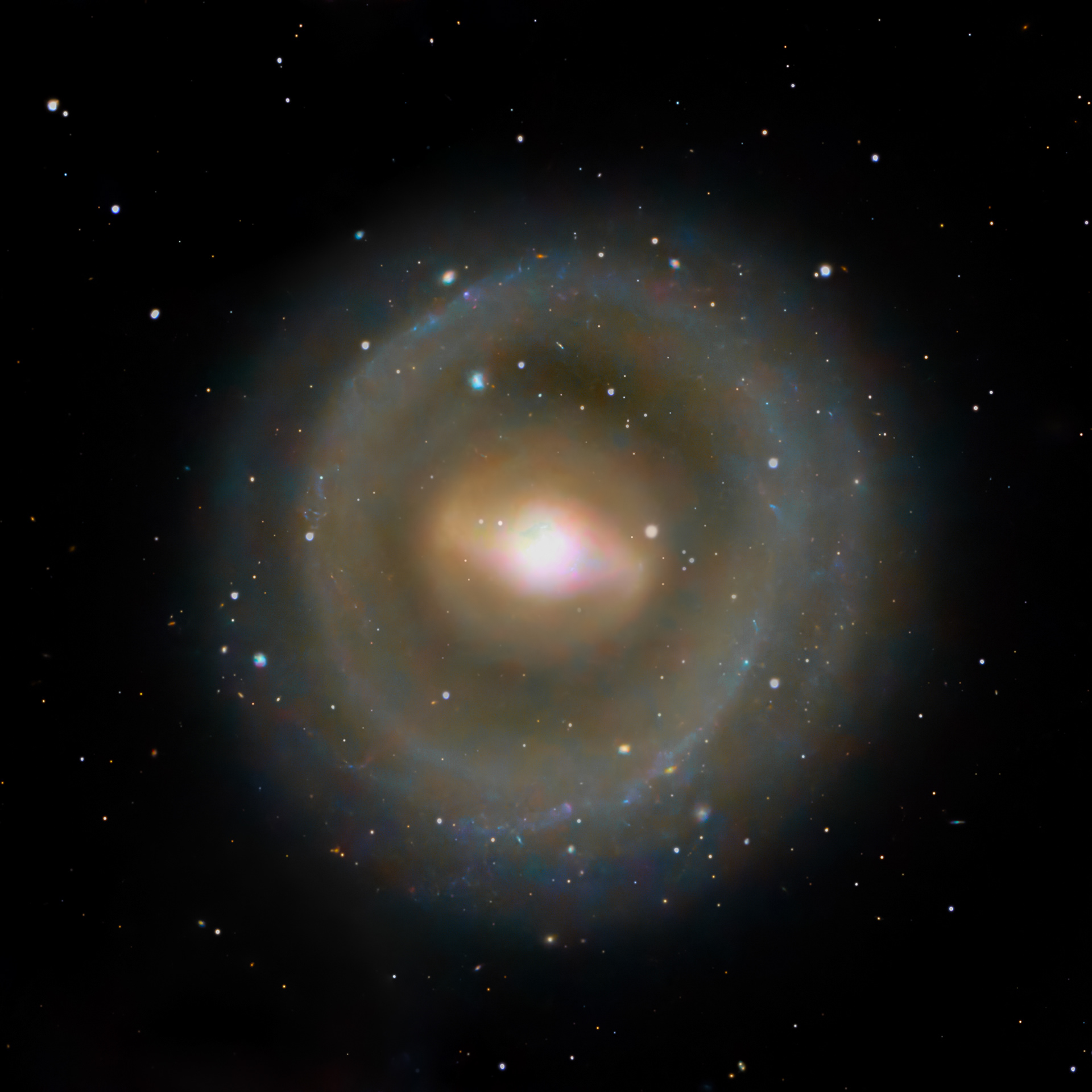 Snow Collar Galaxy