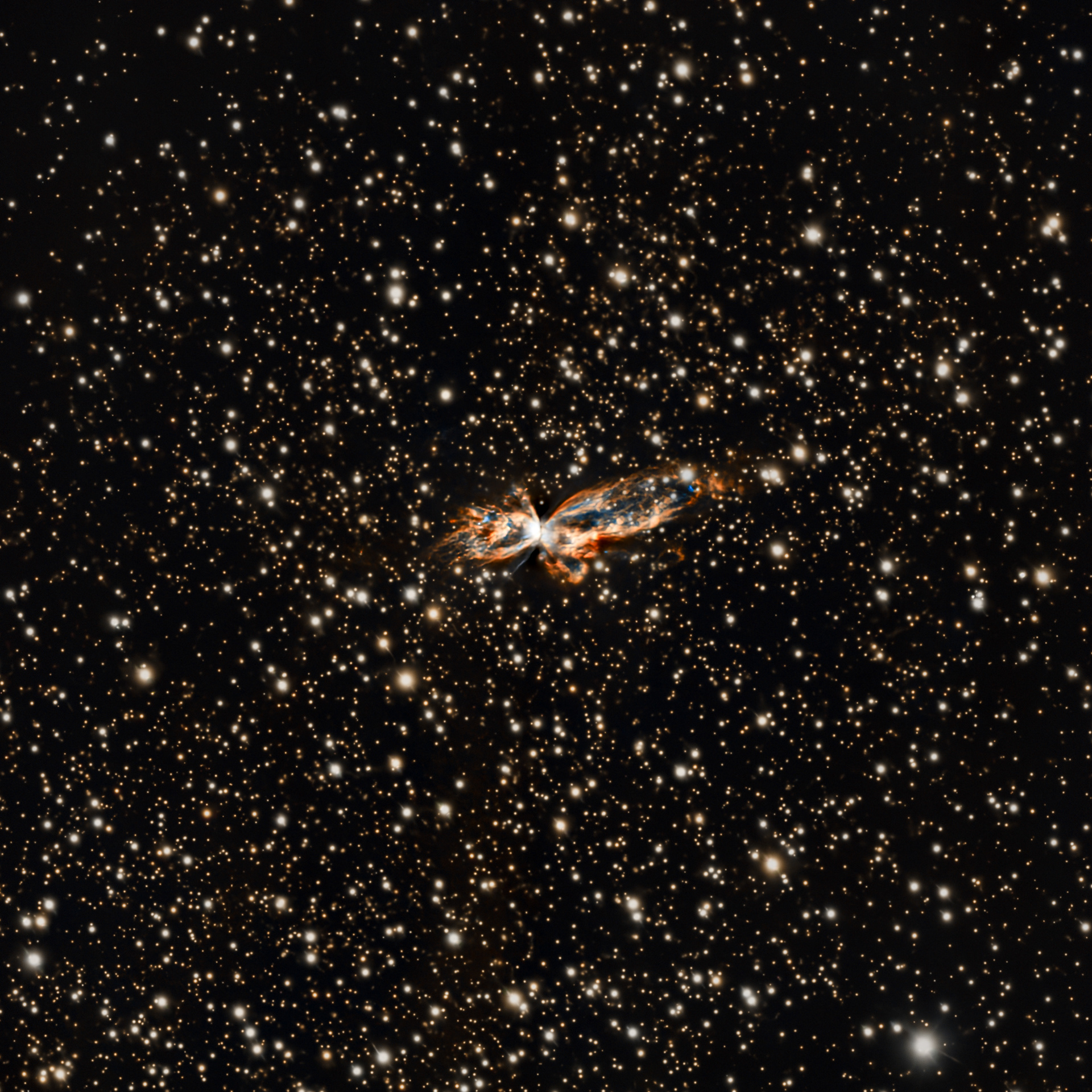 bug nebula 🔭 Telescope: Celestron EdgeHD 8" 📷 Camera: ZWO ASI 533MC Pro 🌀 Mount: NEQ6 Pro 🎯 Filters: Optolong L-extreme 🕒 Exposure: 10h HA + OIII, 1h RGB (stars)