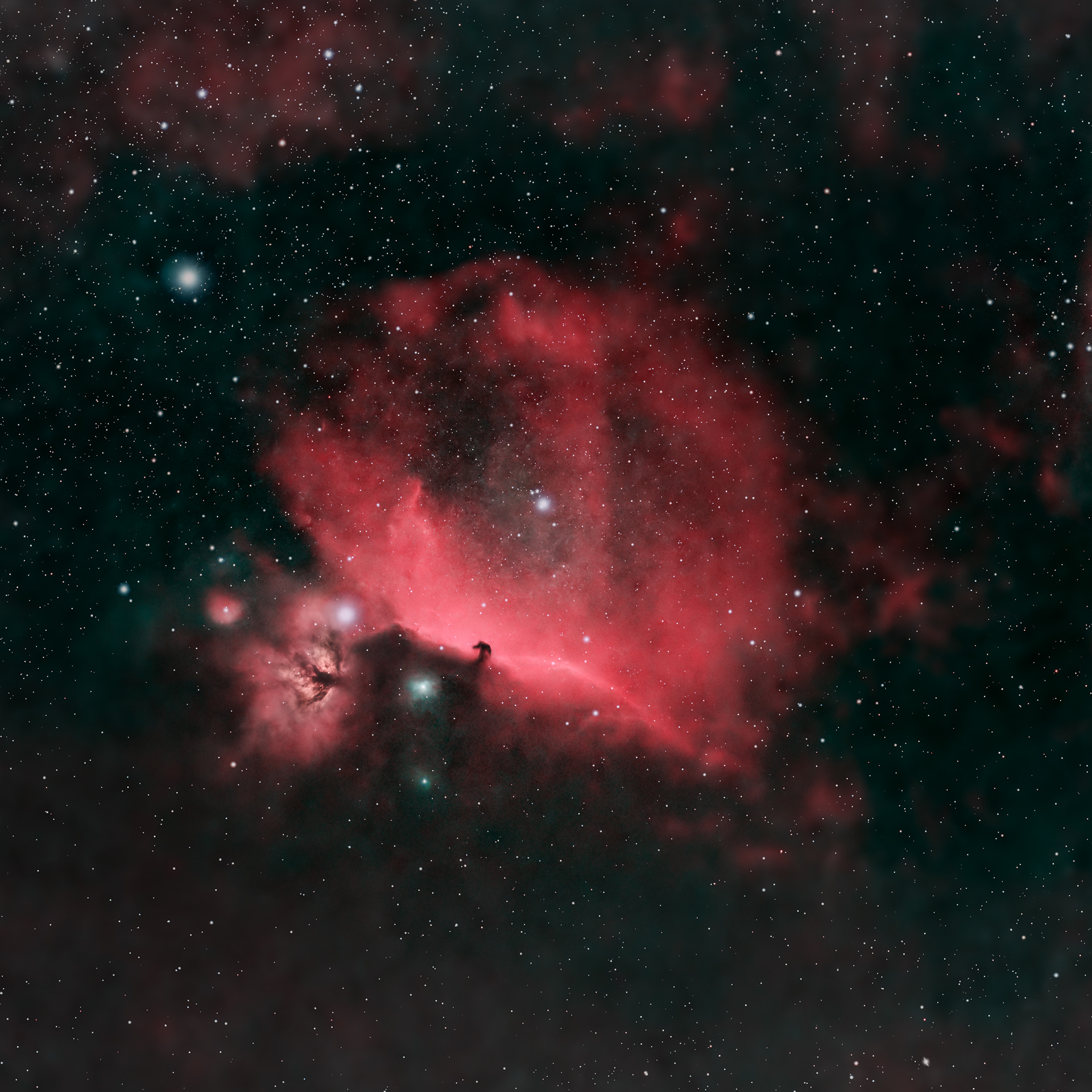 The Horsehead Nebula 🔭 Telescope: Celestron EdgeHD 8" 📷 Camera: ZWO ASI 533MC Pro 🌀 Mount: NEQ6 Pro 🎯 Filters: Optolong L-eXtreme 🕒 Exposure: 60s per sub, total 2h (4 panels)