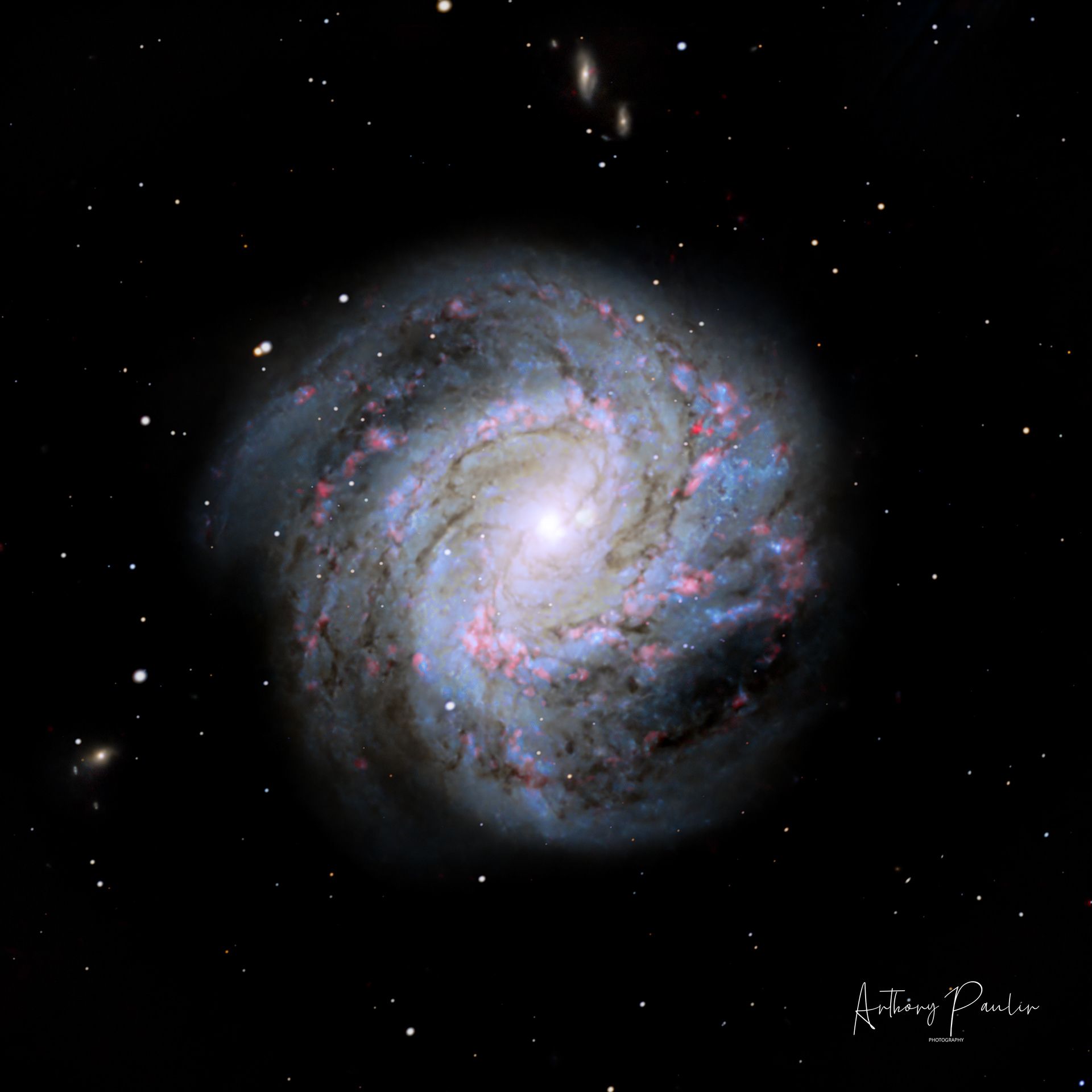 the Southern Pinwheel Galaxy 🔹 Telescope: Celestron EdgeHD 8" @ f/10 🔹 Mount: SkyWatcher NEQ6 Pro 🔹 Camera: ZWO ASI533MC Pro