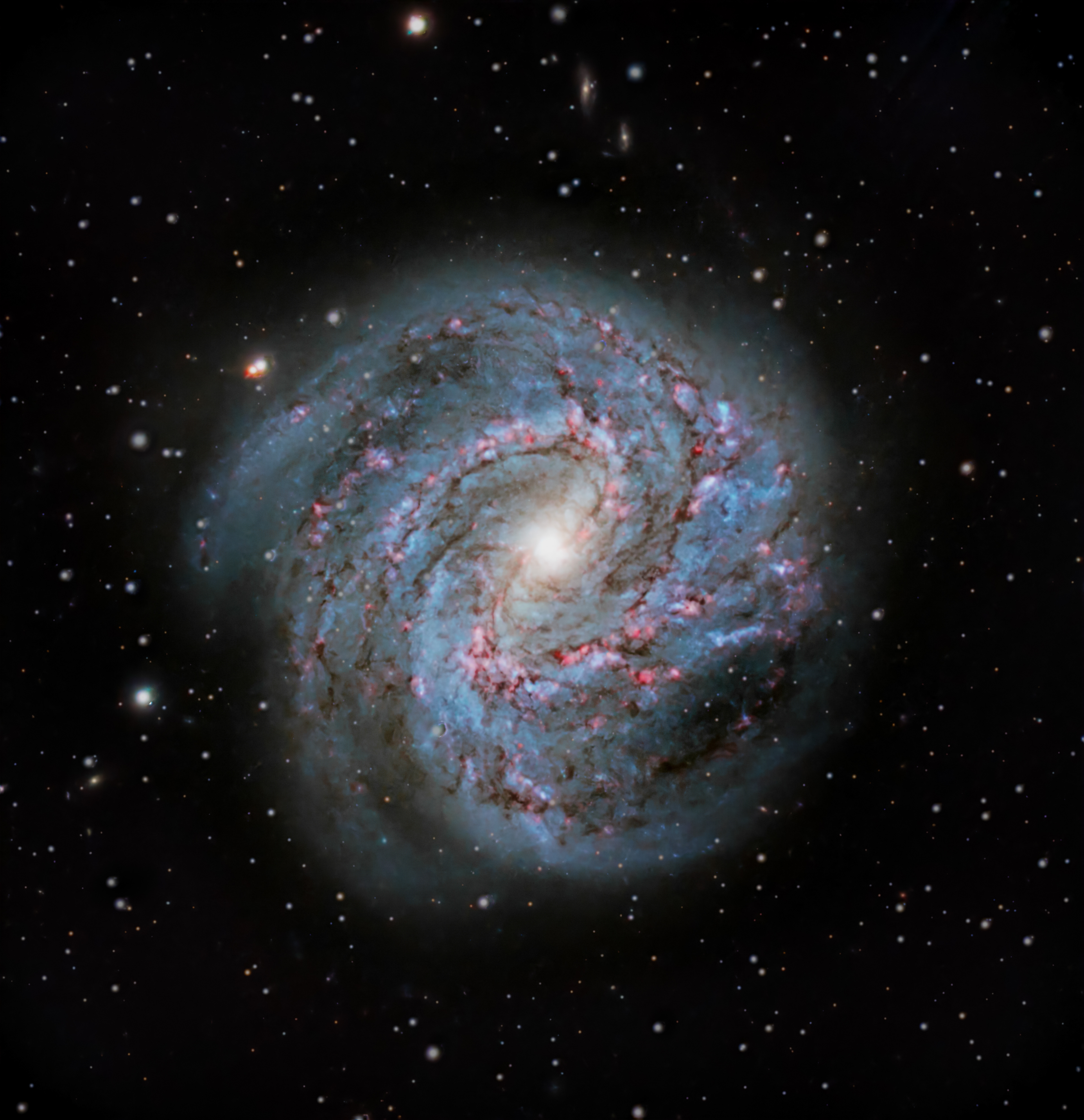 The Southern Pinwheel Galaxy 🔹 Telescope: Celestron EdgeHD 8" @ f/10 🔹 Mount: SkyWatcher NEQ6 Pro 🔹 Camera: ZWO ASI533MC Pro