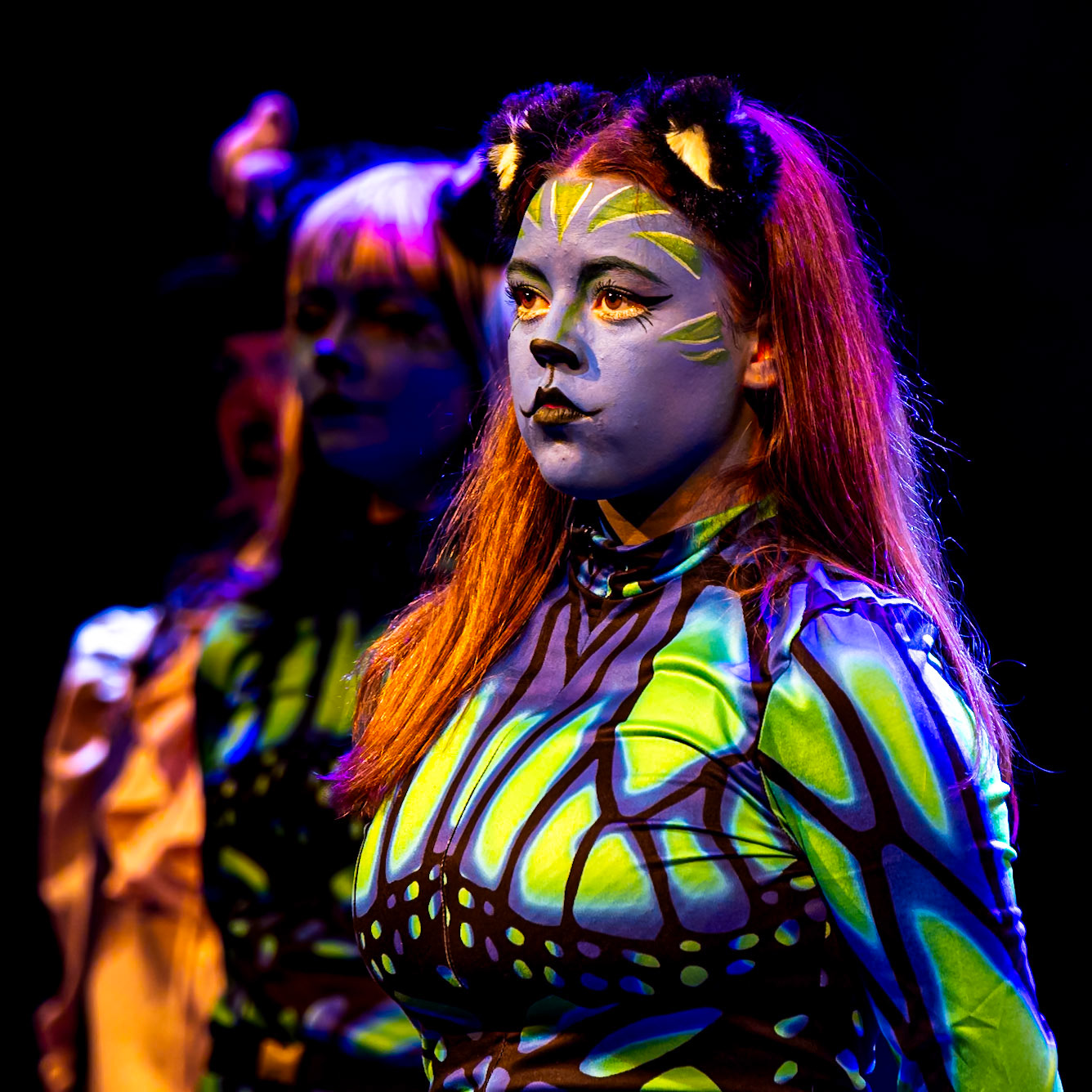 2025 Alice in Wonder Gorey Little Theatre