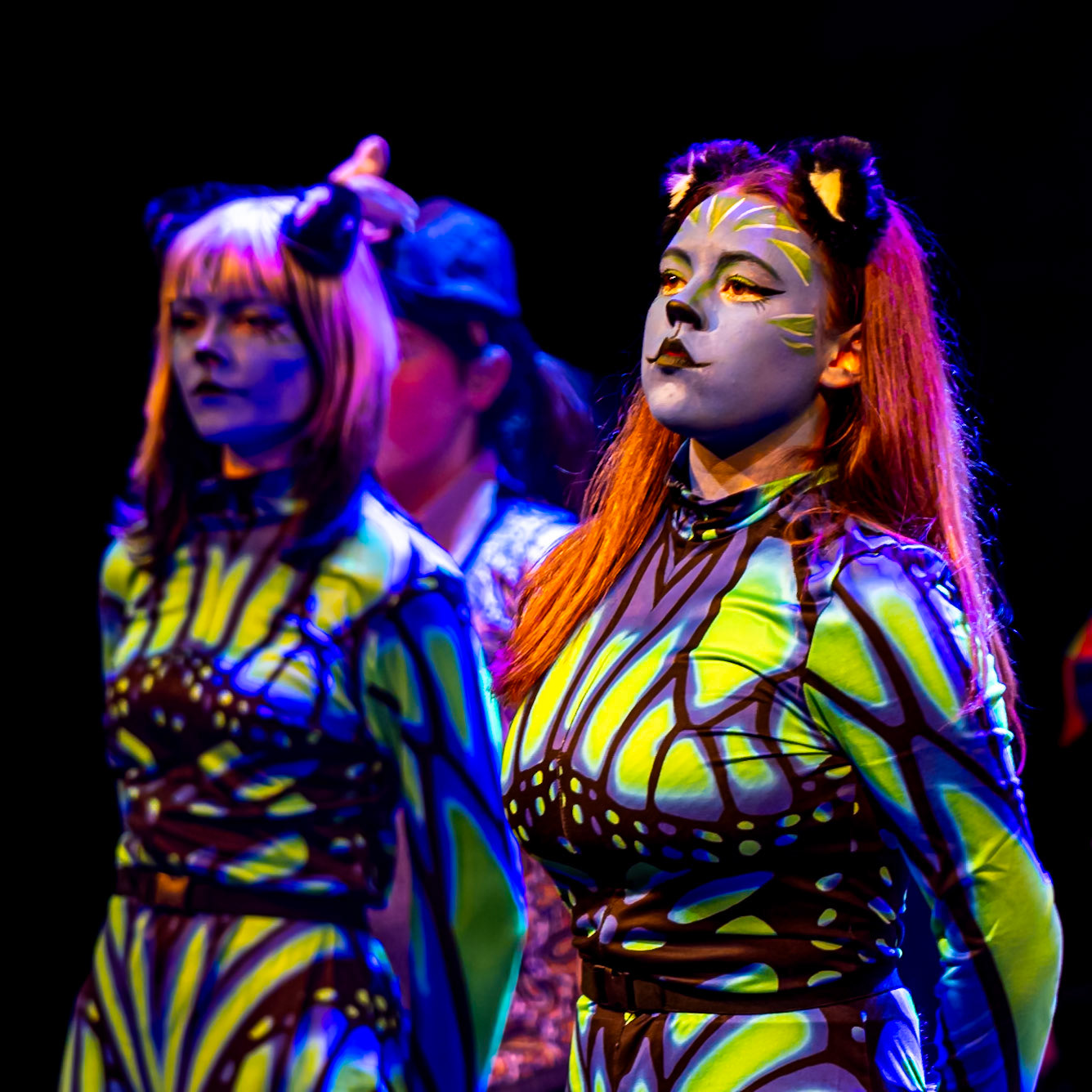 2025 Alice in Wonder Gorey Little Theatre