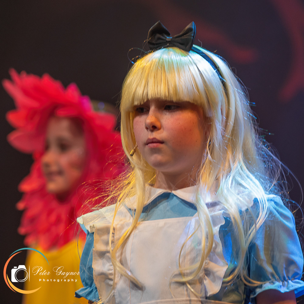 Alice in Wonderland 2025