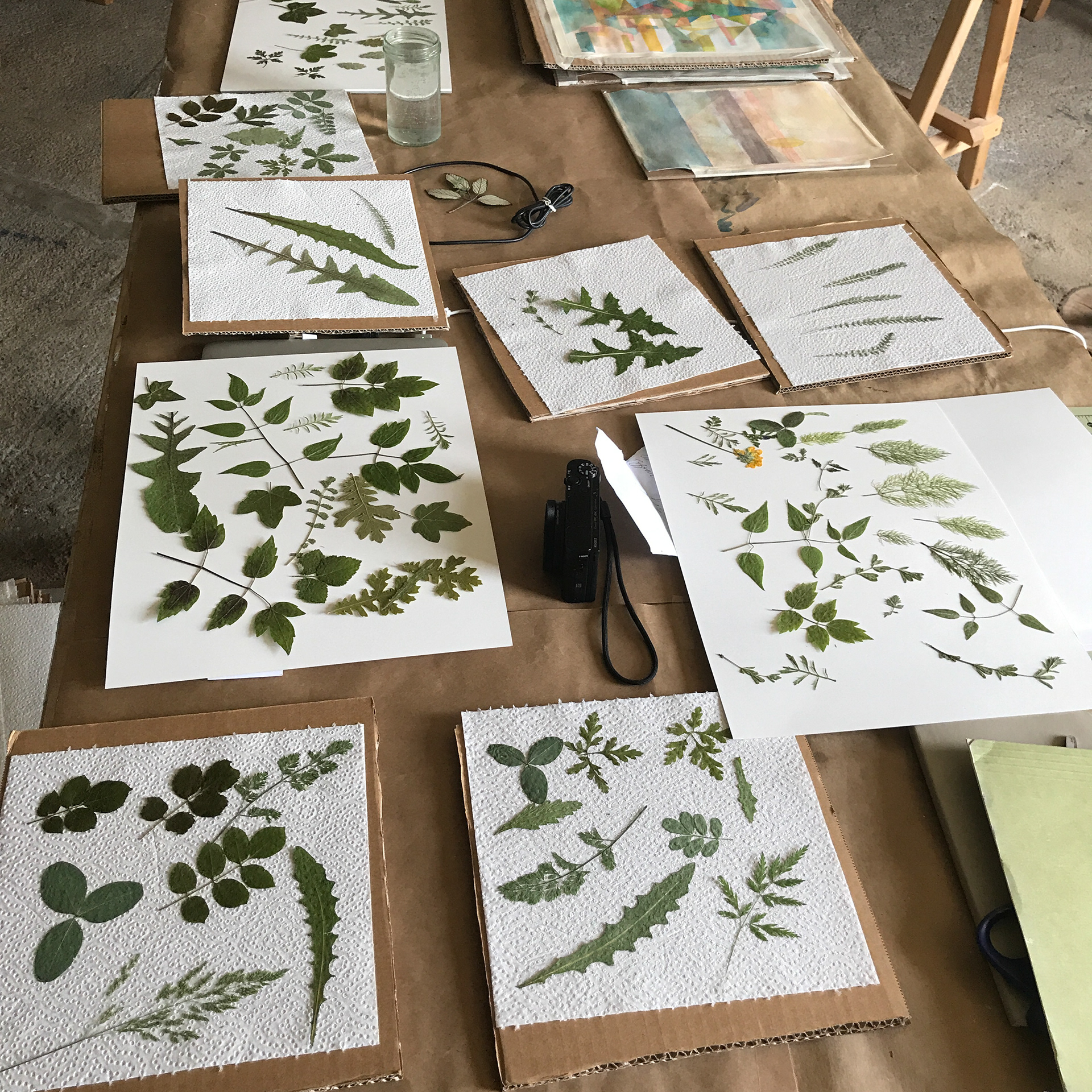 Arte Studio Ginestrelle