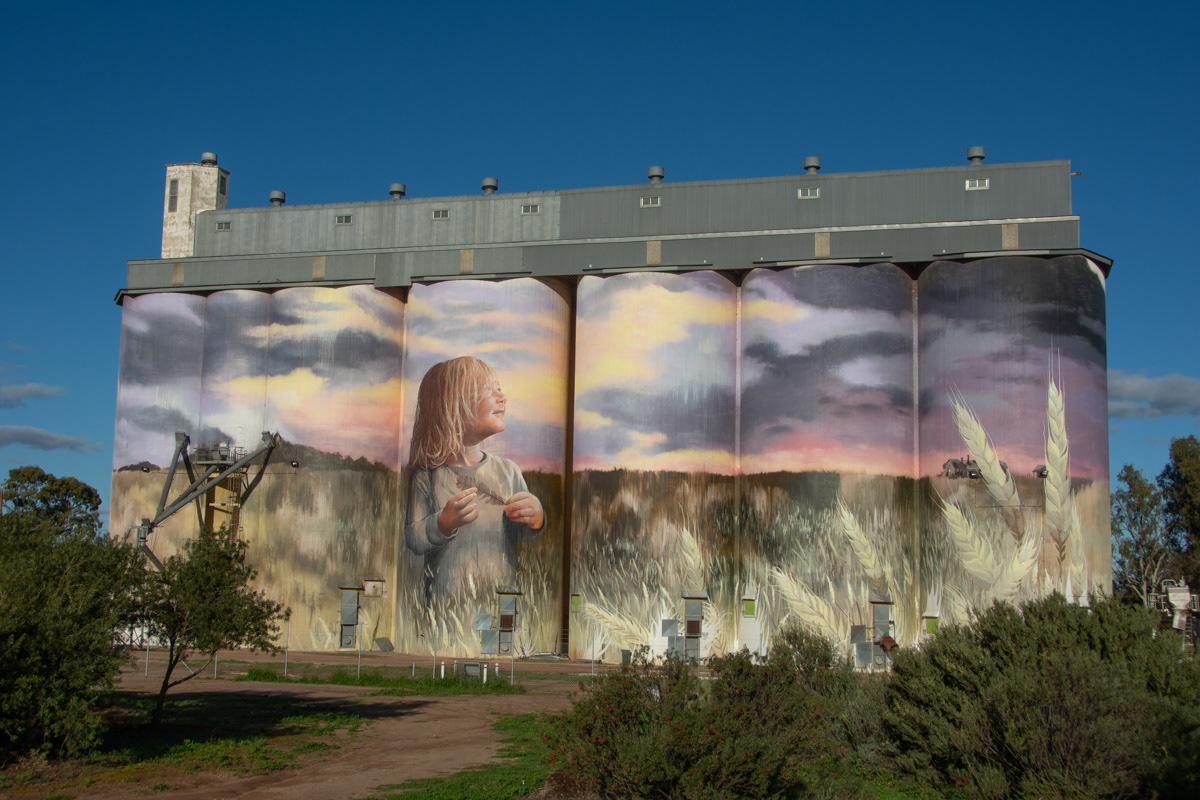 Kimba illiuminated Silo Art