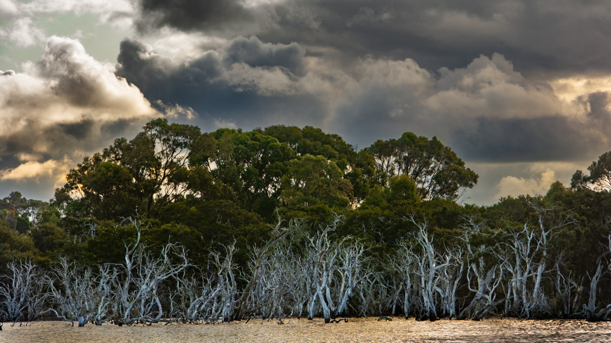 Lake Monjingup Reserve Esperance