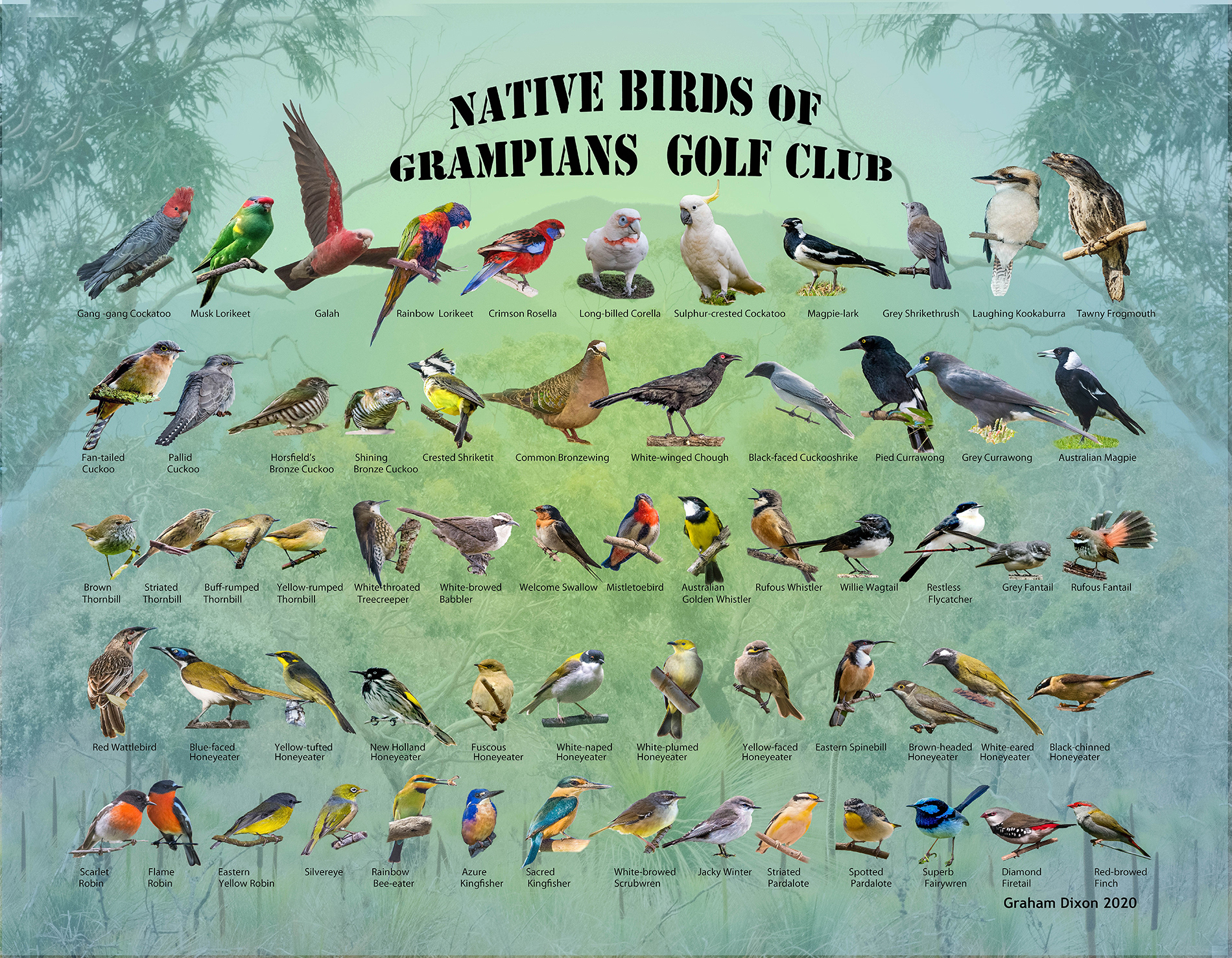 Birds of Grampians Golf