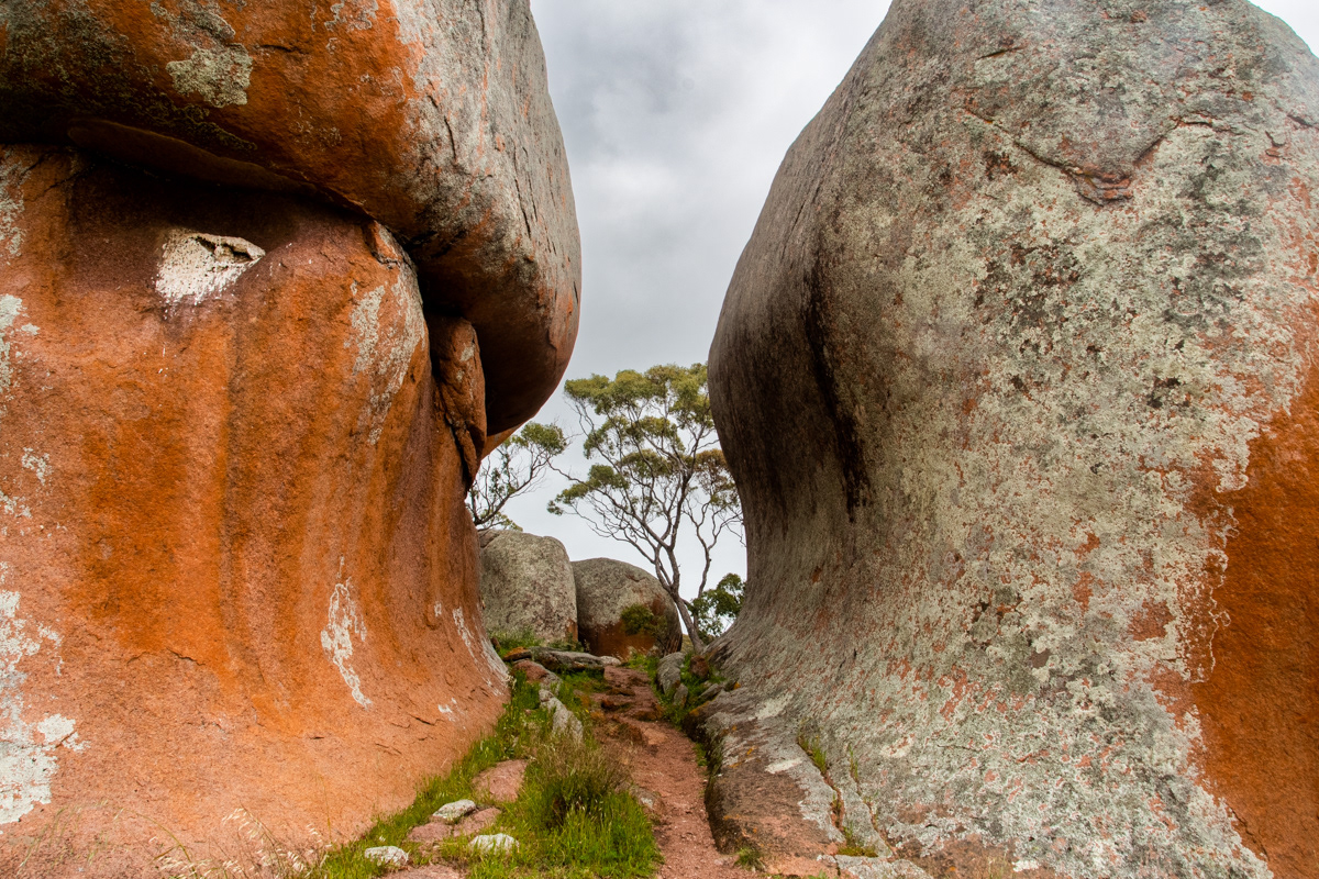 Murphy's Haystacks Eyre Peninsula