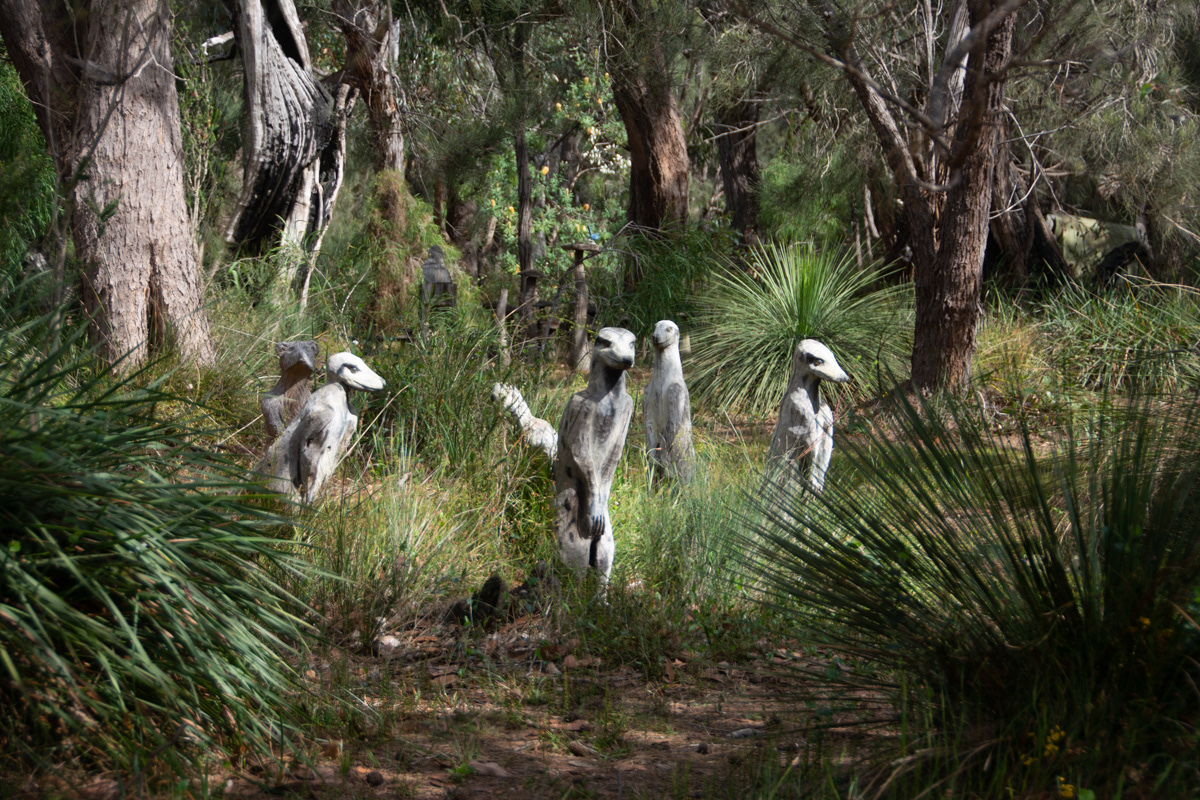 Albany chainsaw sculpures