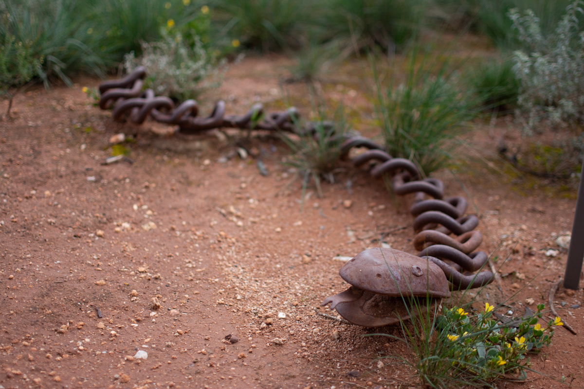 Kimba sculpture trail