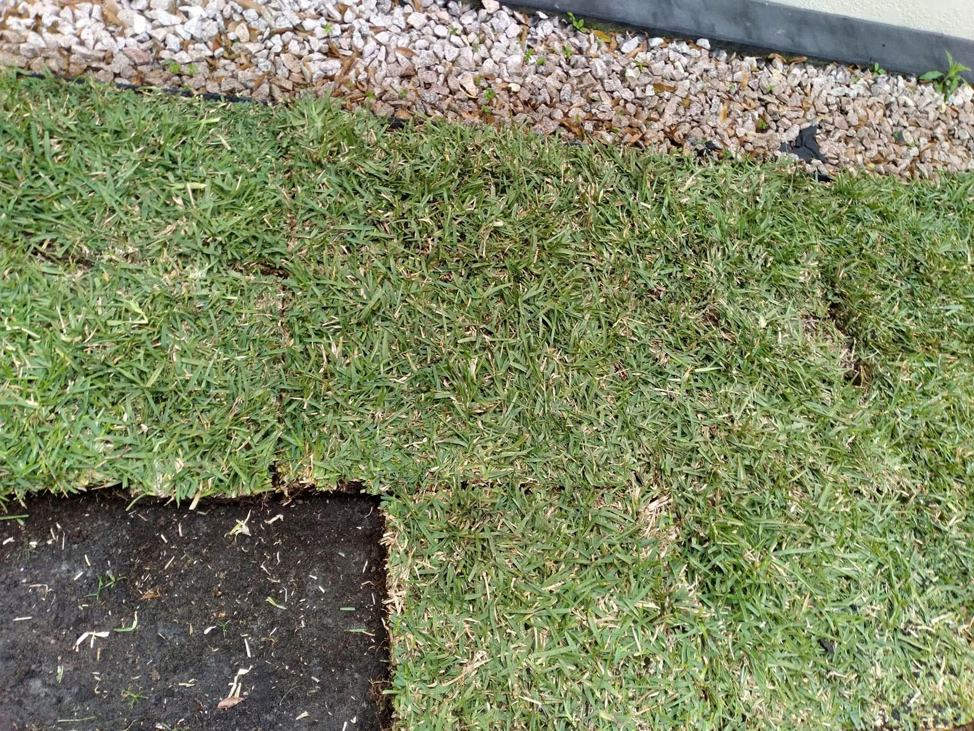 Sodding Installation