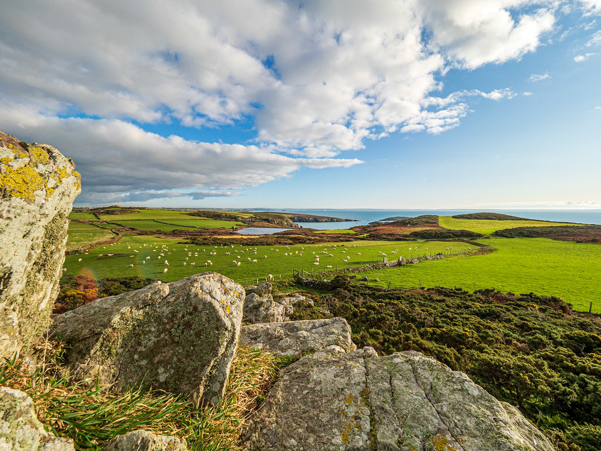Views of the Treginnis Headlands from the Lower Treginnis Farm, Treginnis Uchaf, Wales