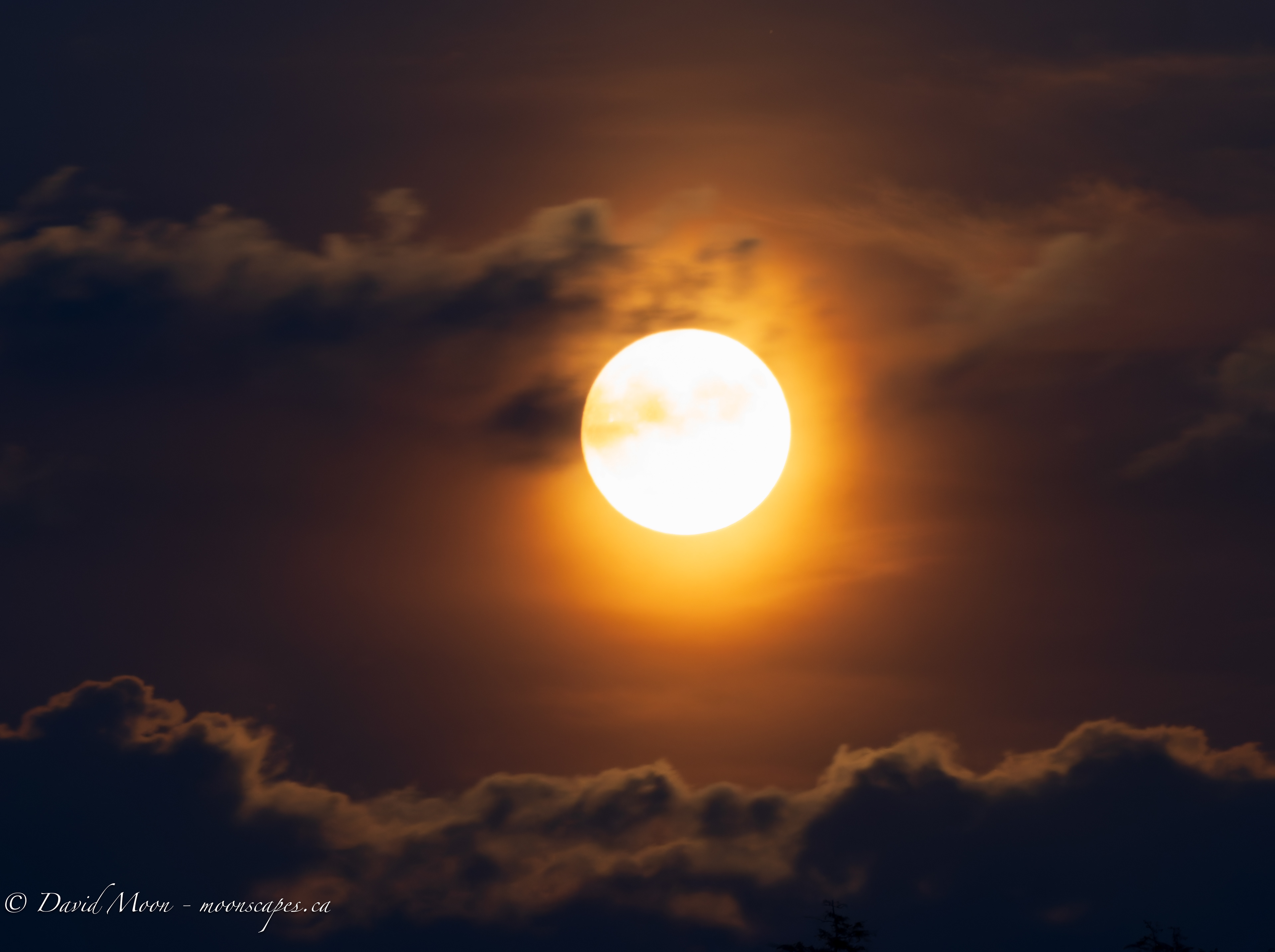 August 8, 9:20 PM - 300mm, 1.6 sec at f/9.0, ISO 2000