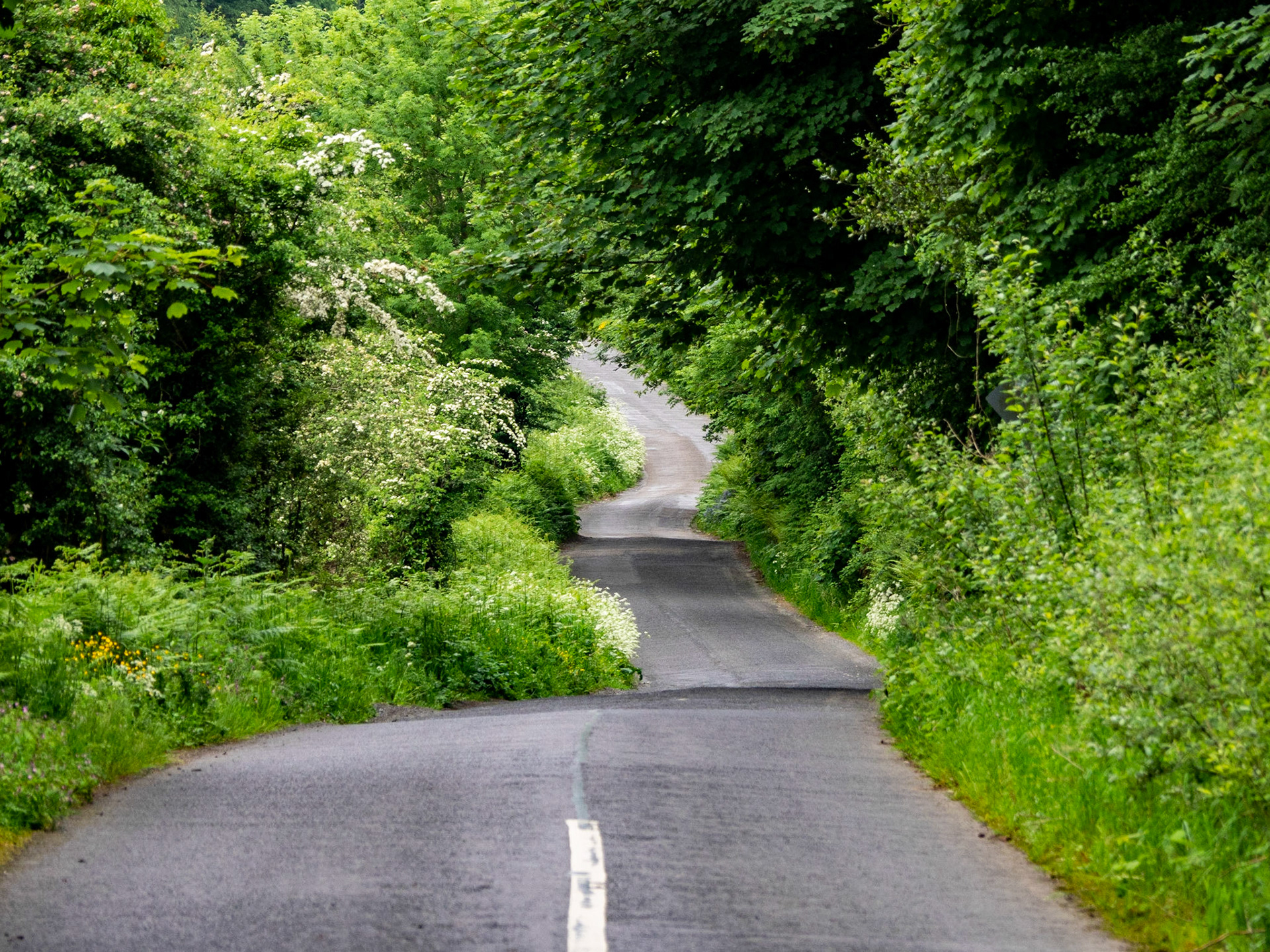 Winding roads near Carrick-on-Suir