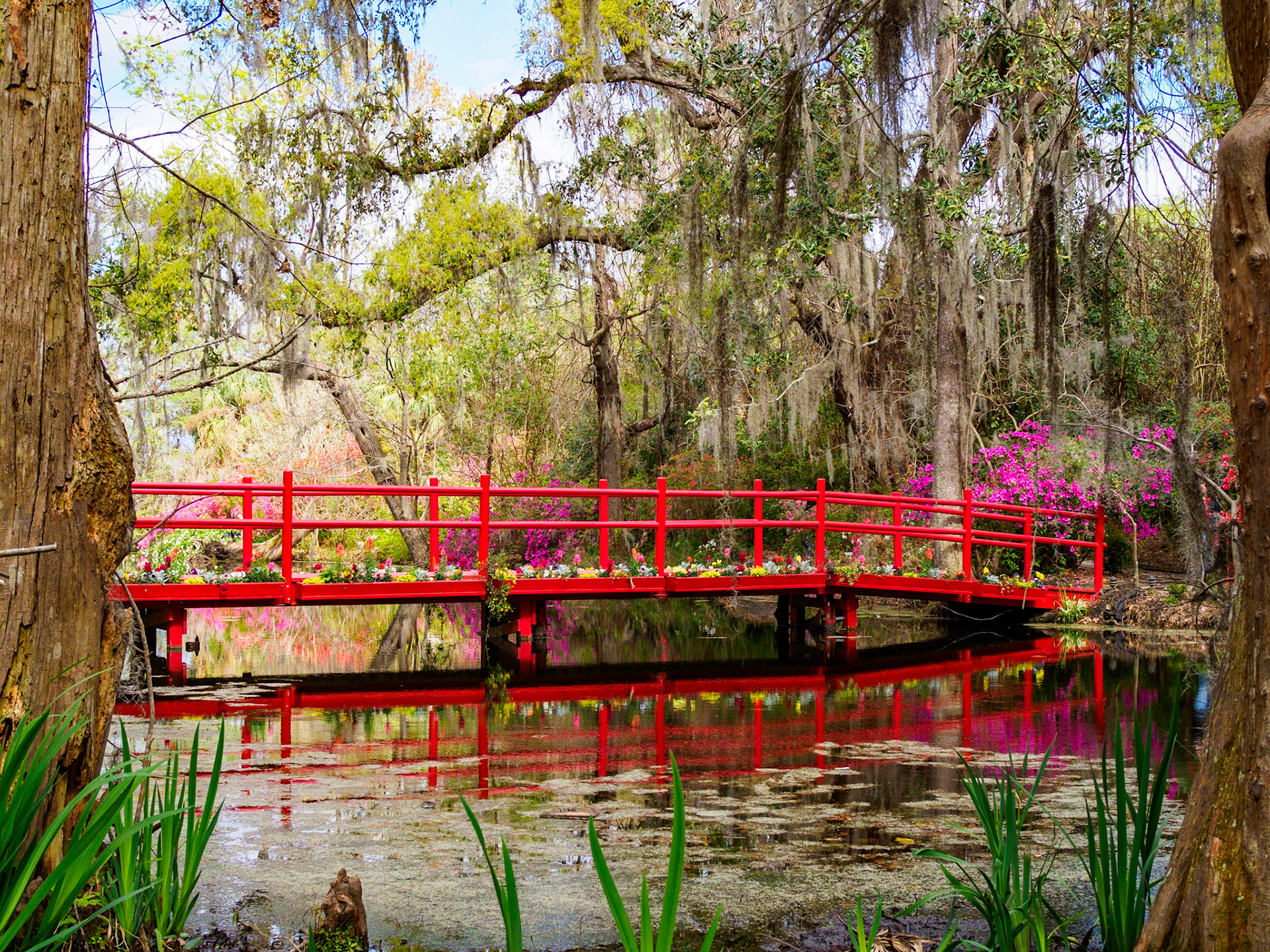 Red Bridge at Magnolia Plantation, South Carolina