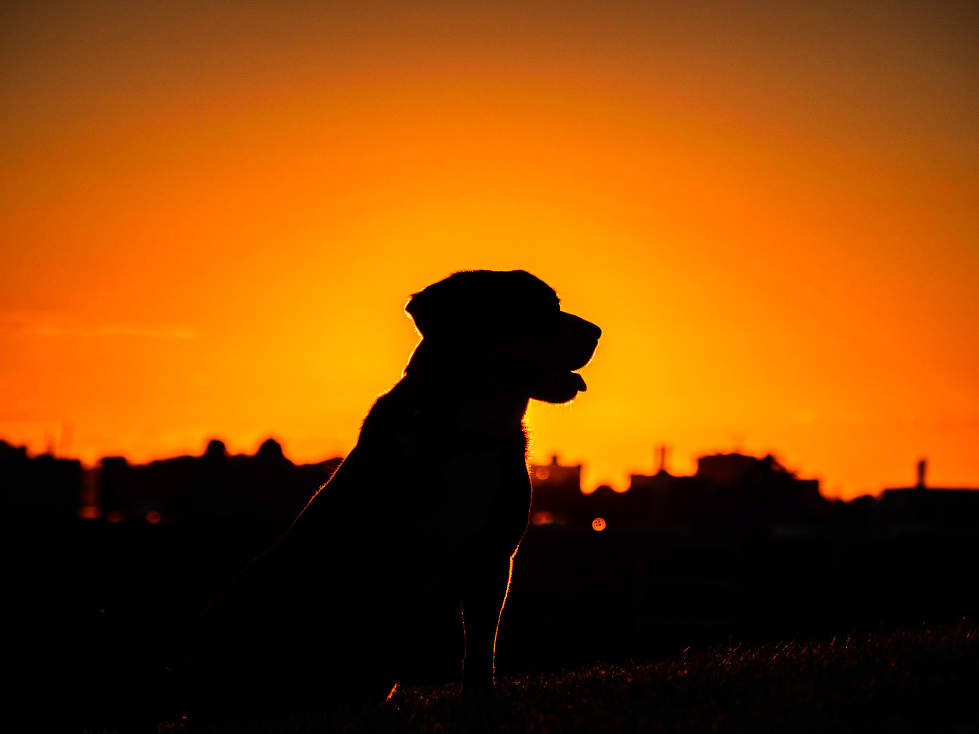 Rocky at Sunset, Fort Henry, Kingston, Ontario