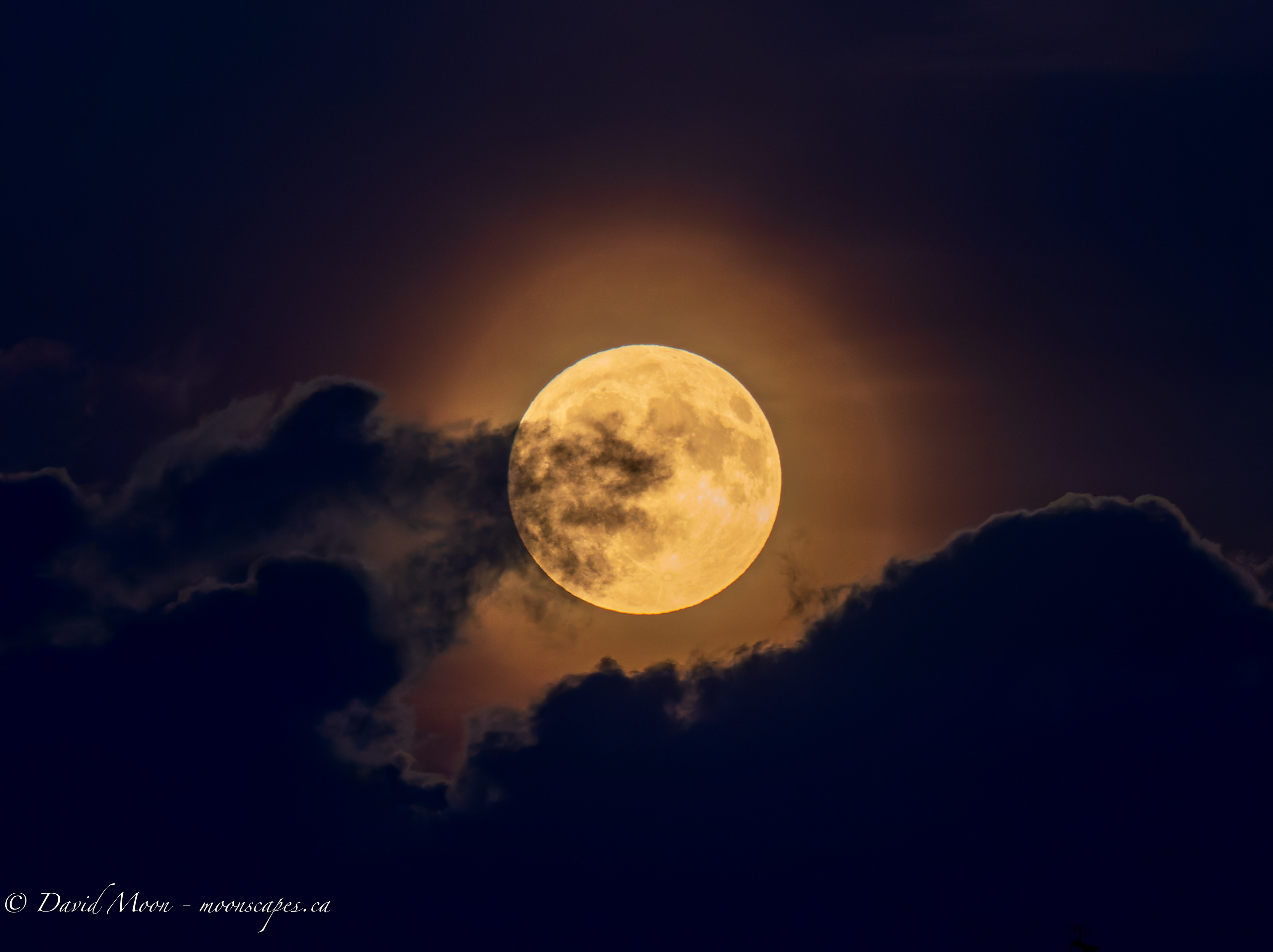 August 8, 9:16 PM - 300mm, 0.5 sec at f/9.0, ISO 4000