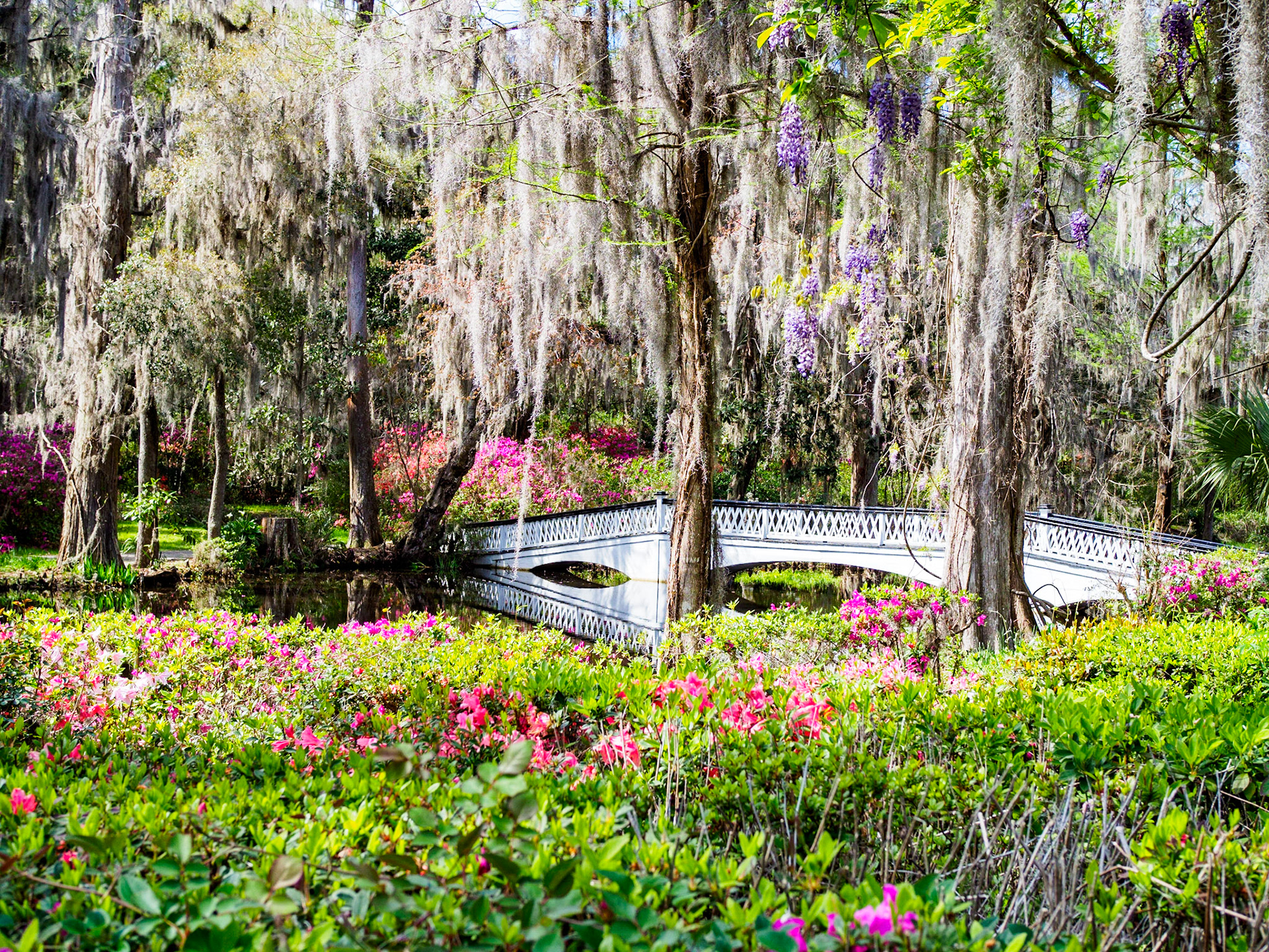 Bridge at Magnolia Plantation South Carolina
