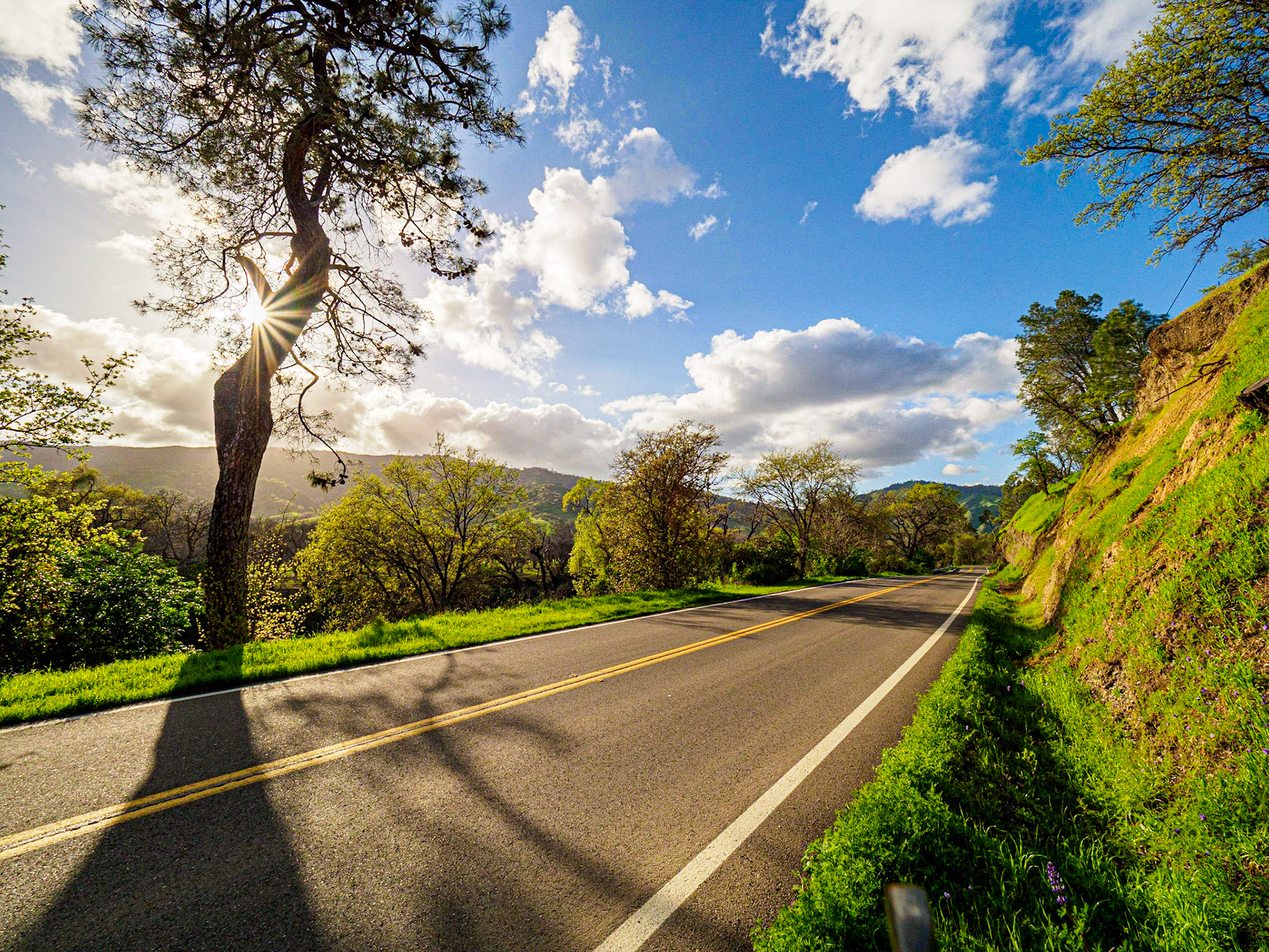 Somewhere on Pleasants Valley Road, California