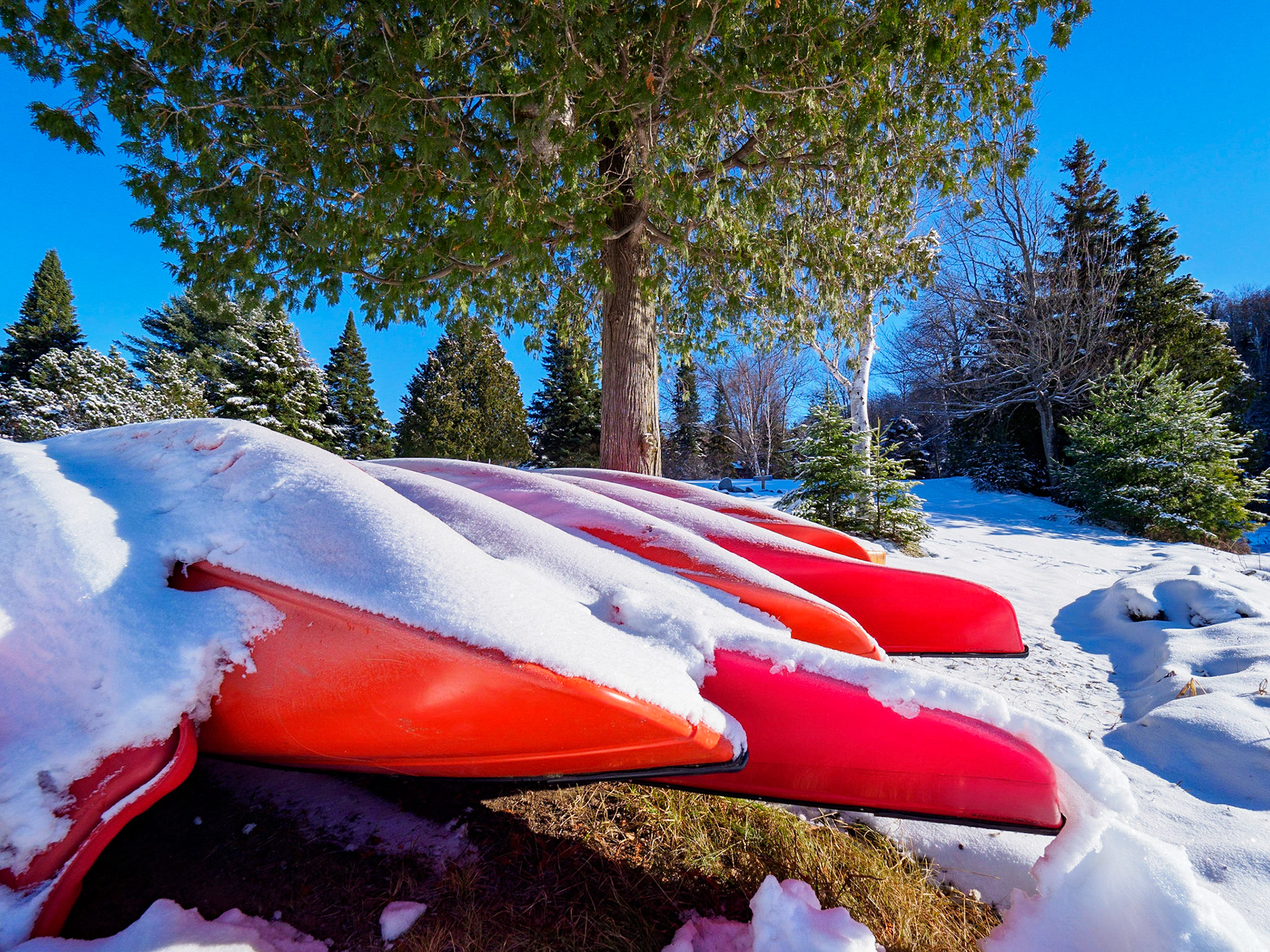 Winter Canoes - Grail Springs, Bancroft, Ontario