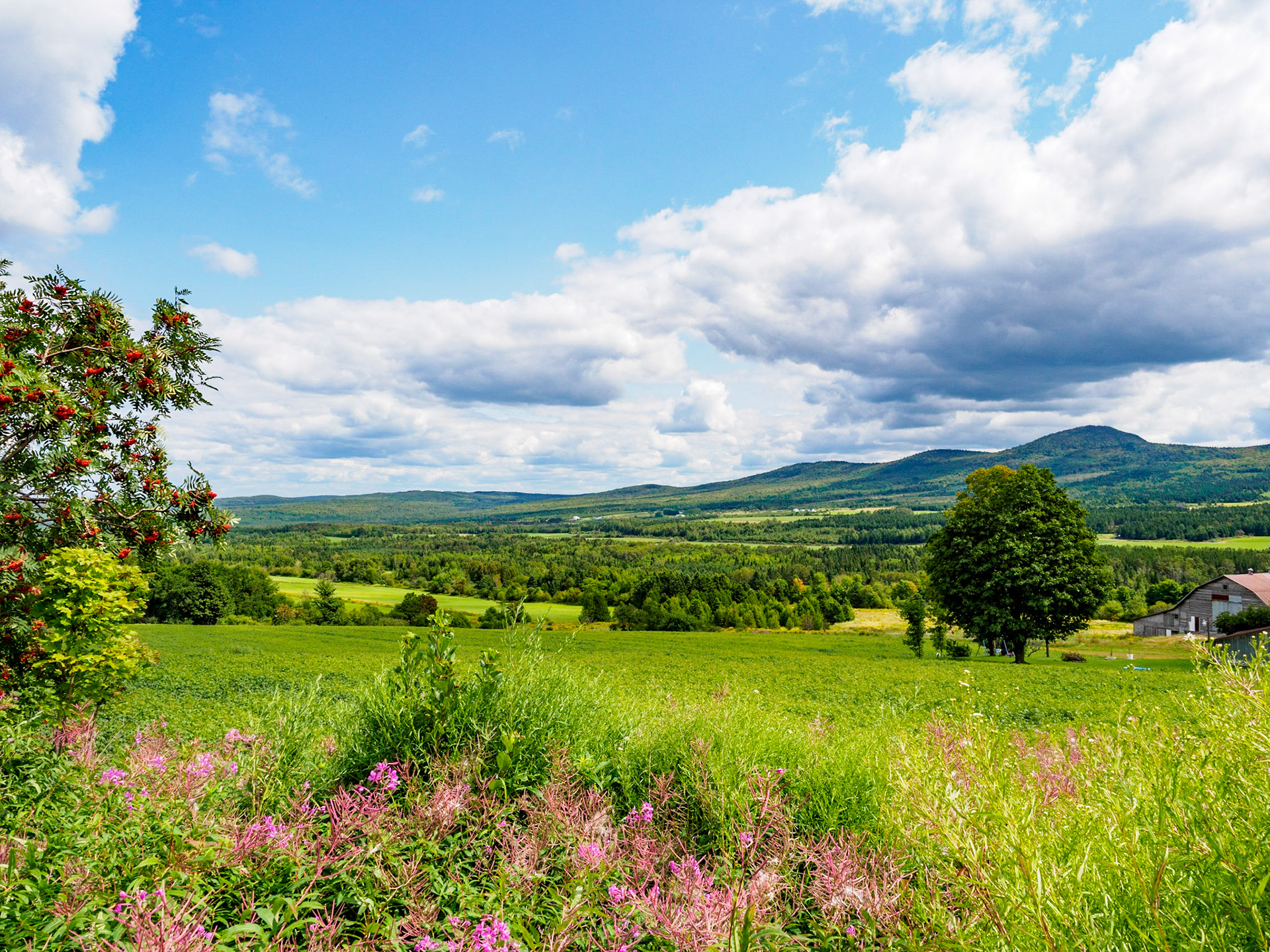 Views of the Appalachians from the Eastern Townships, Quebec, Canada