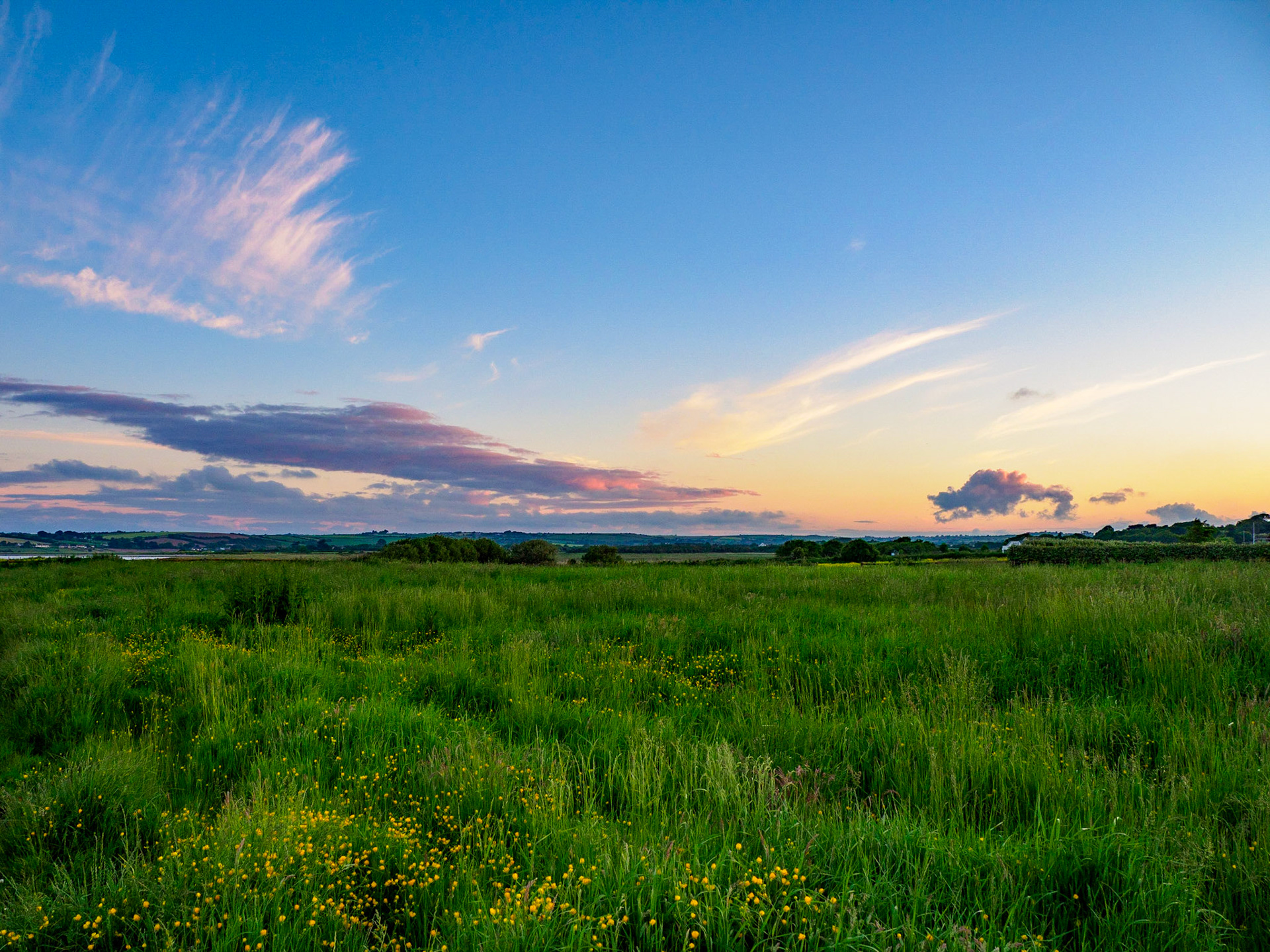Fields behind Garryvoe Beach, Ardnahinch Bay, Shanagarry