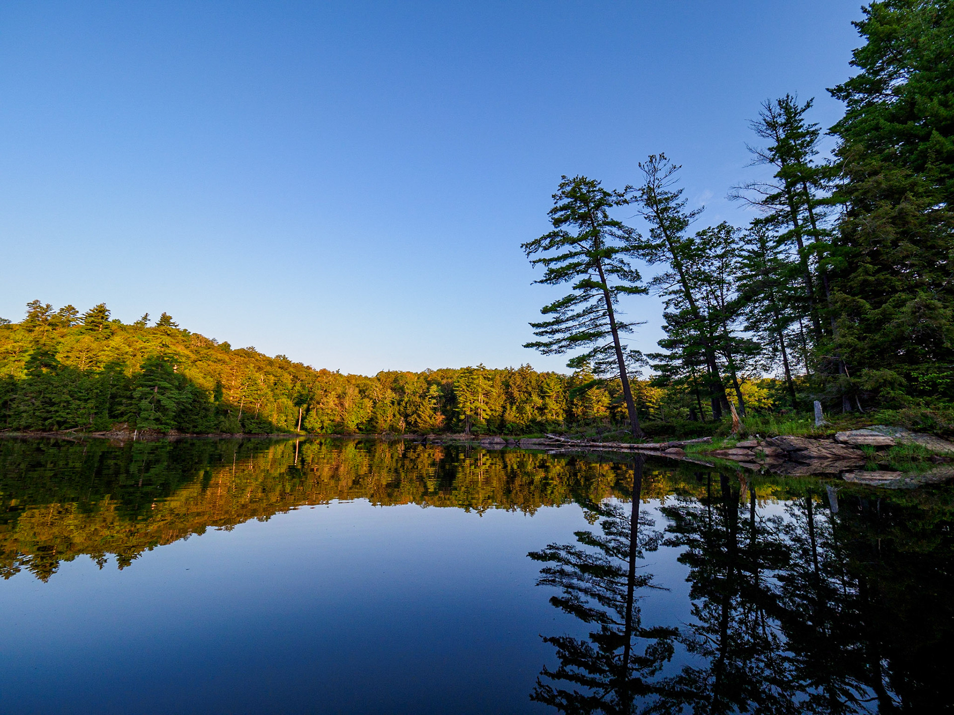 Sunrise on Soap Pond, Kennisis Lake, Haliburton, Ontario