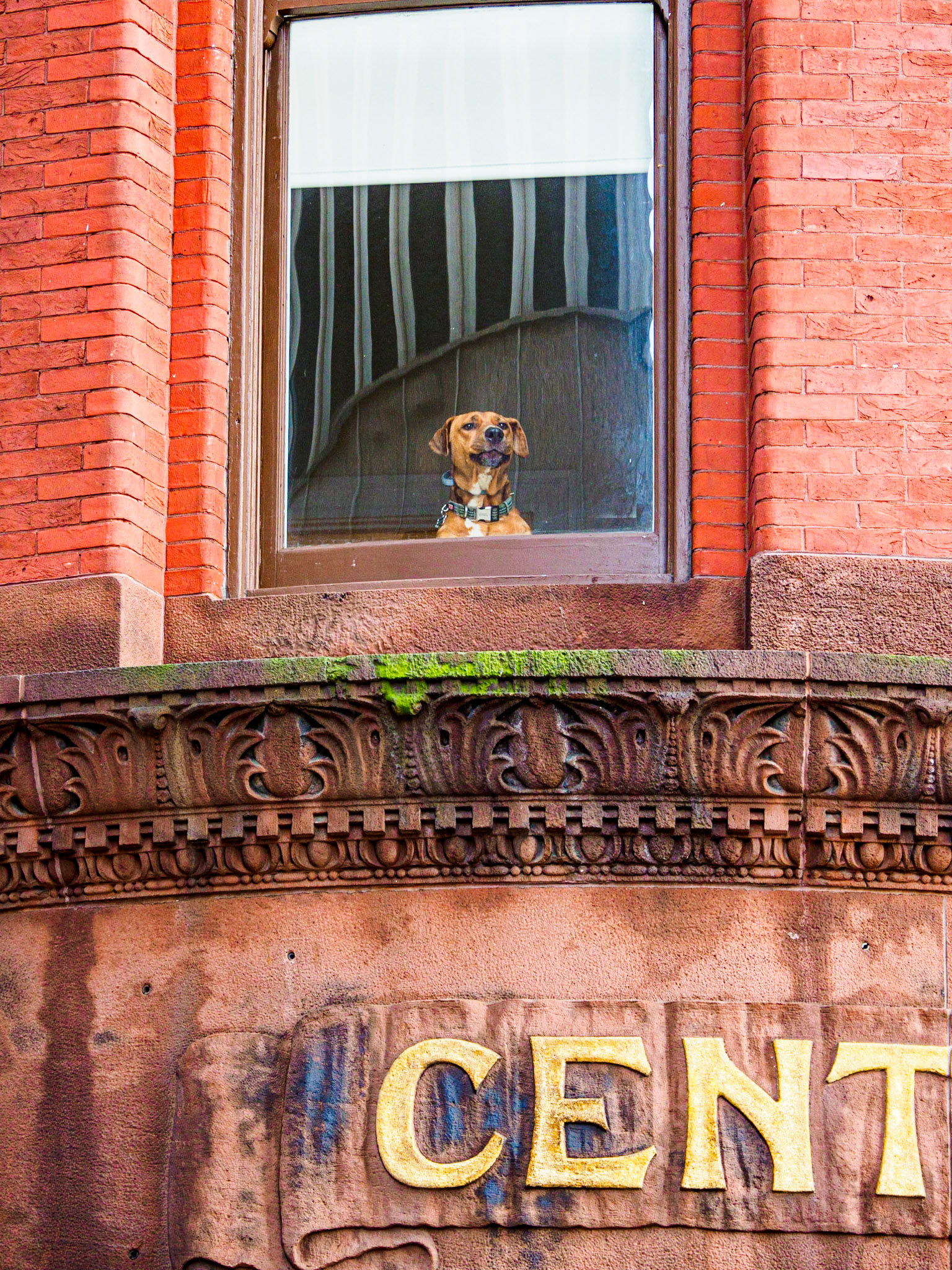 Central Savings and Bank Building at Lexington and Charles, Downtown Baltimore