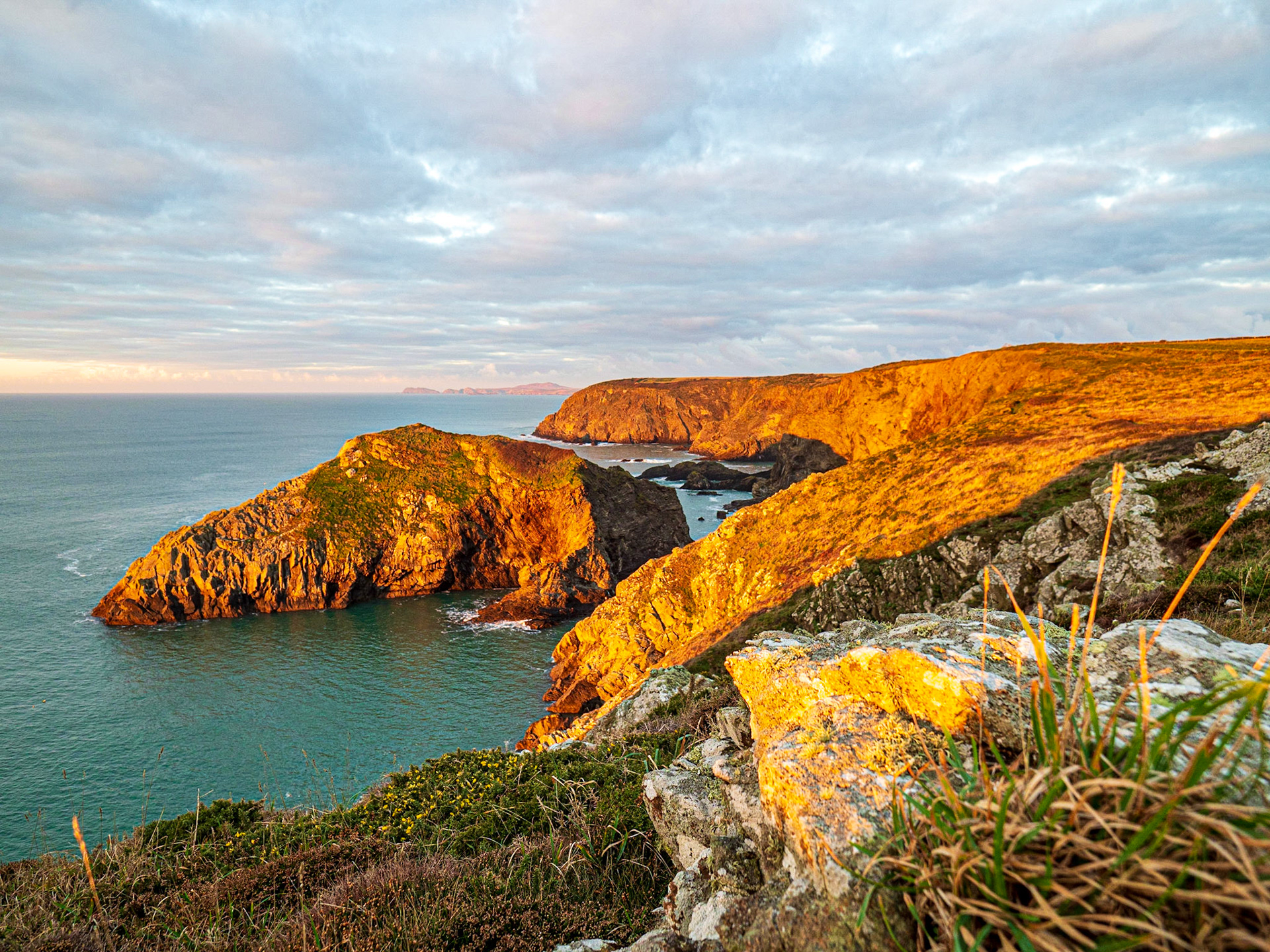 Sunrise views from along the Pembrokeshire Coast Path, Upper Solva, Wales, UK