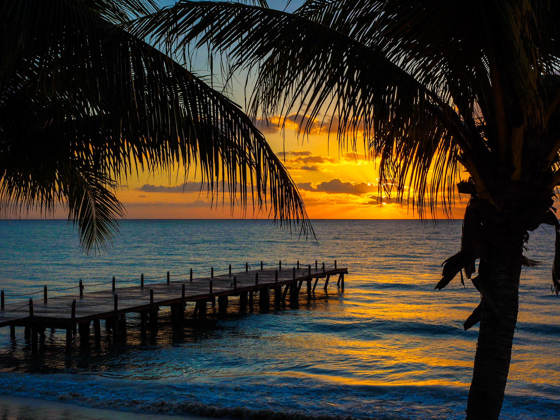 Palm Tree Sunset, Playa Del Carmen, Mexico