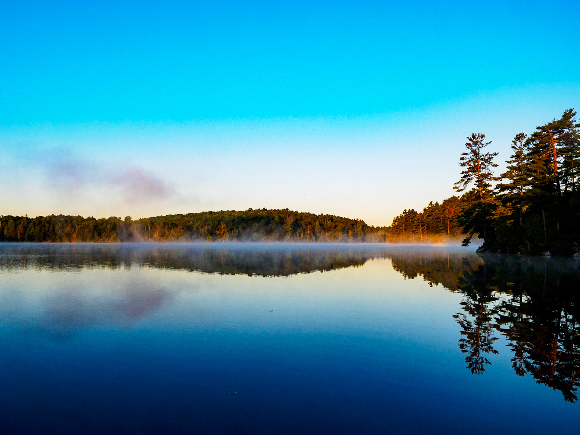 Sunrise on Cat Lake, Haliburton