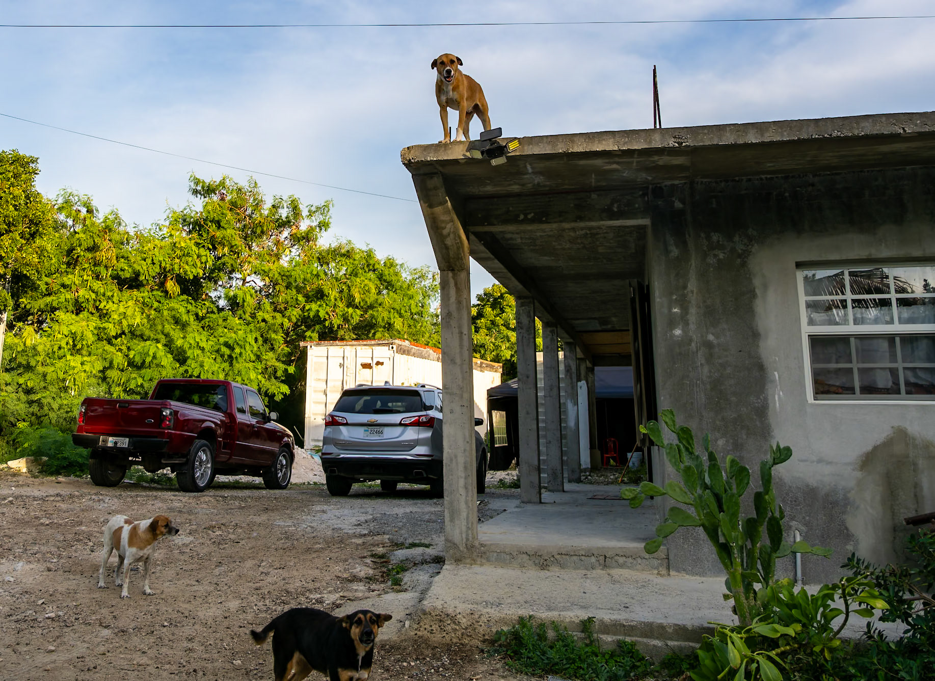 Life in Five Cays, Providenciales, Turks and Caicos Islands