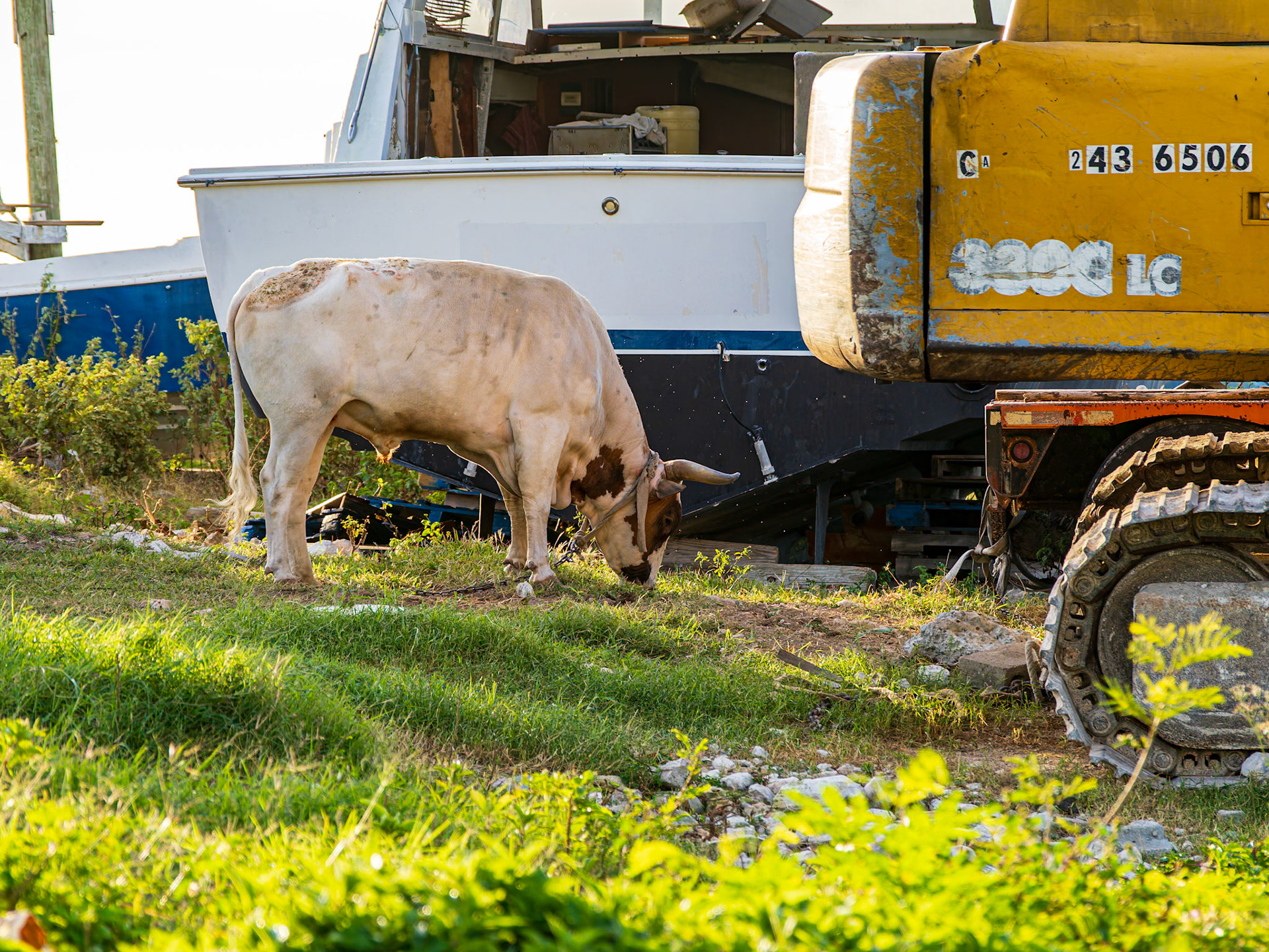 Life in Five Cays, Providenciales, Turks and Caicos Islands