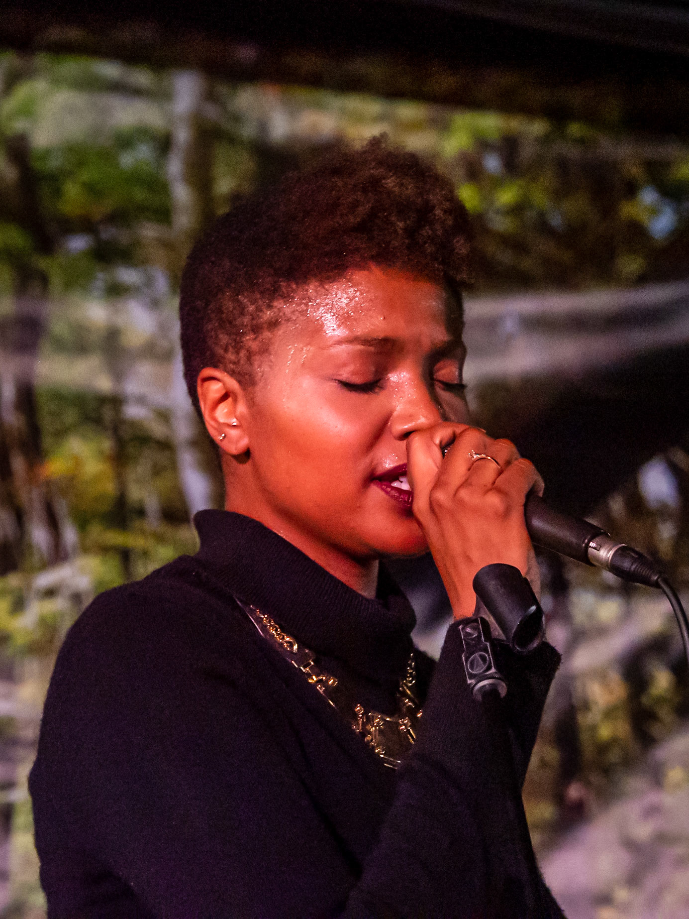 The Sattalites Reggae Band performing at The Forest Festival 2019, Haliburton, Ontario