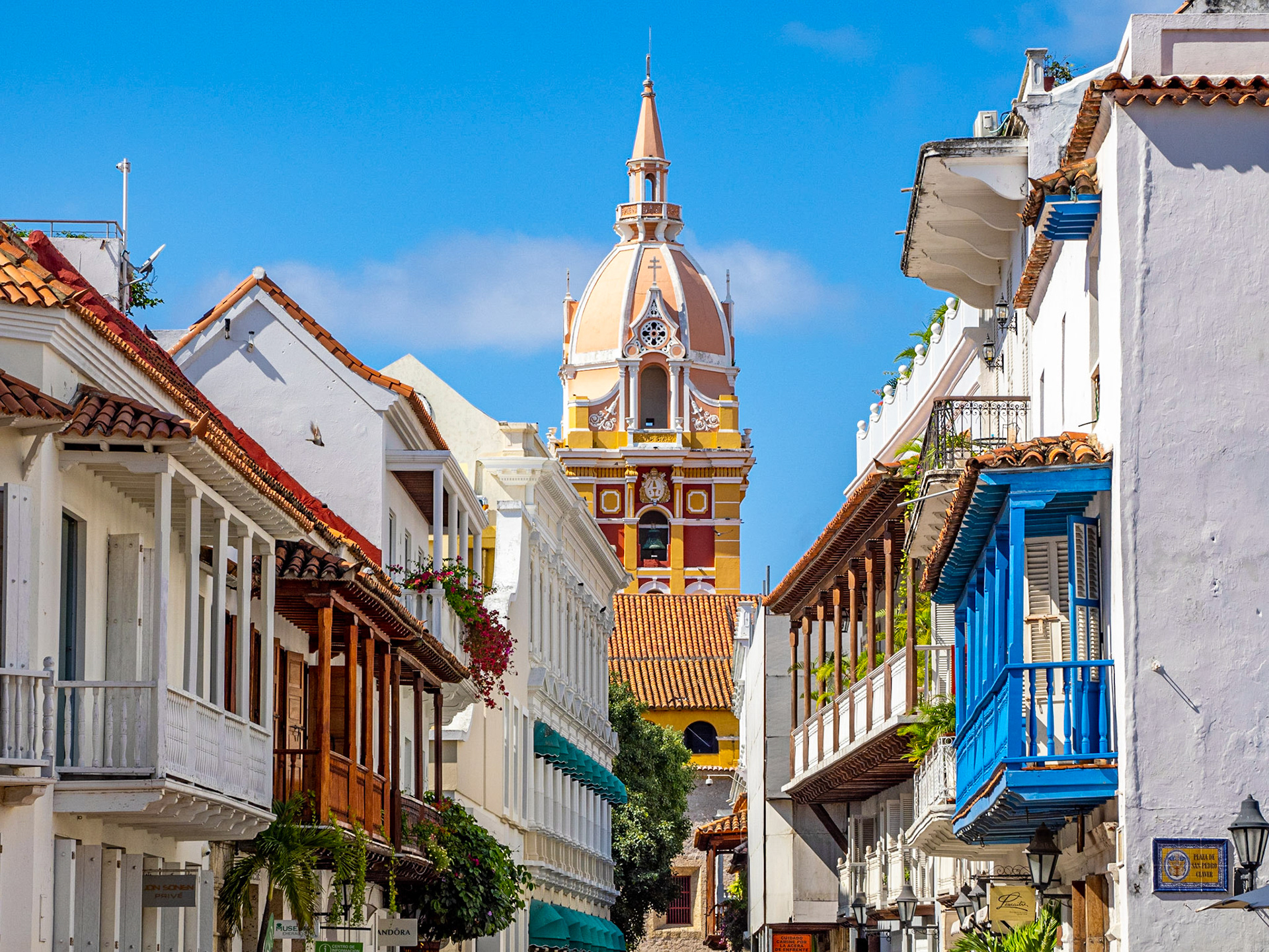 View of the Catedral de Santa Catalina de Alejandría