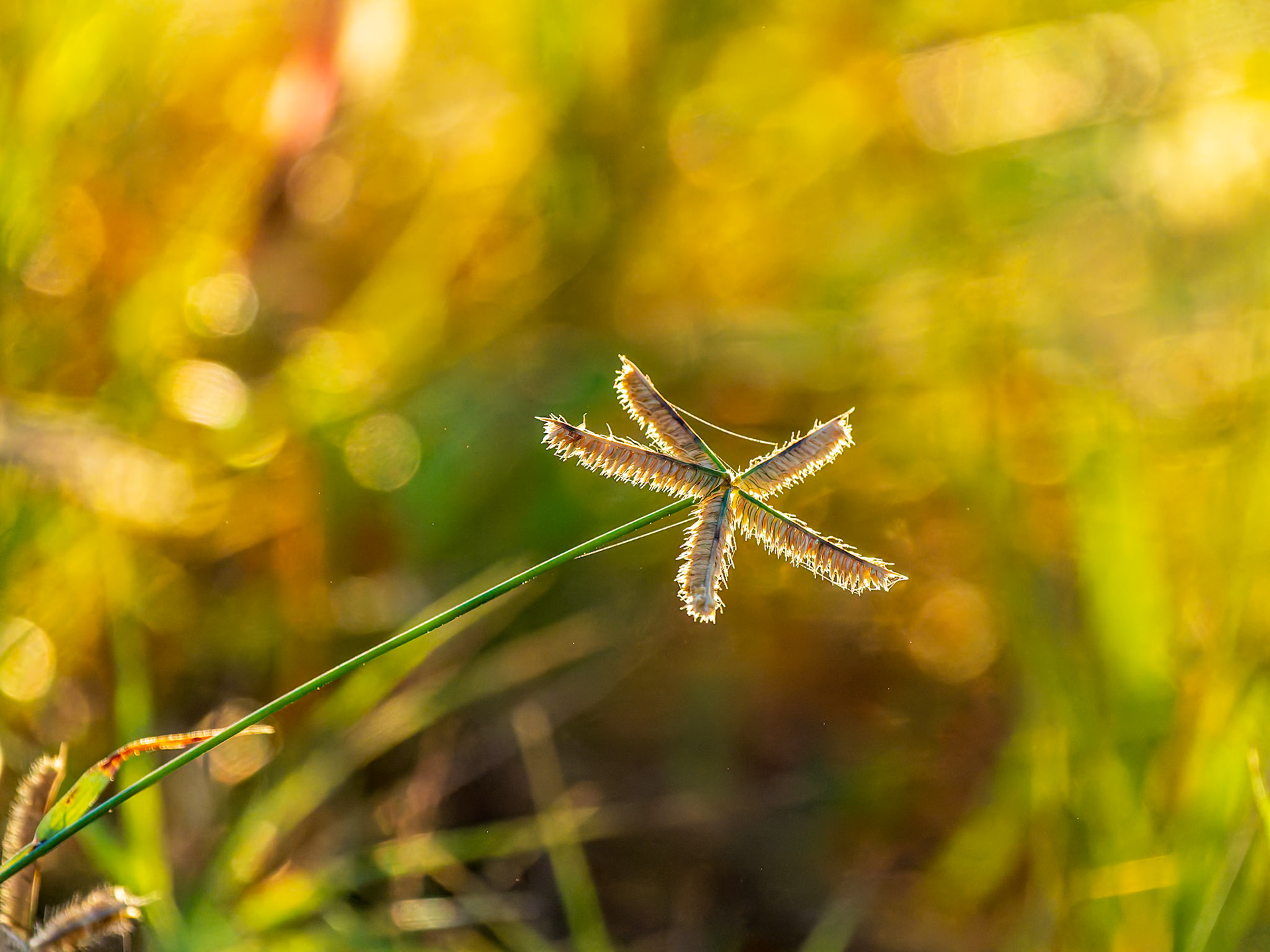 Northwest Point, Providenciales, Turks and Caicos Islands