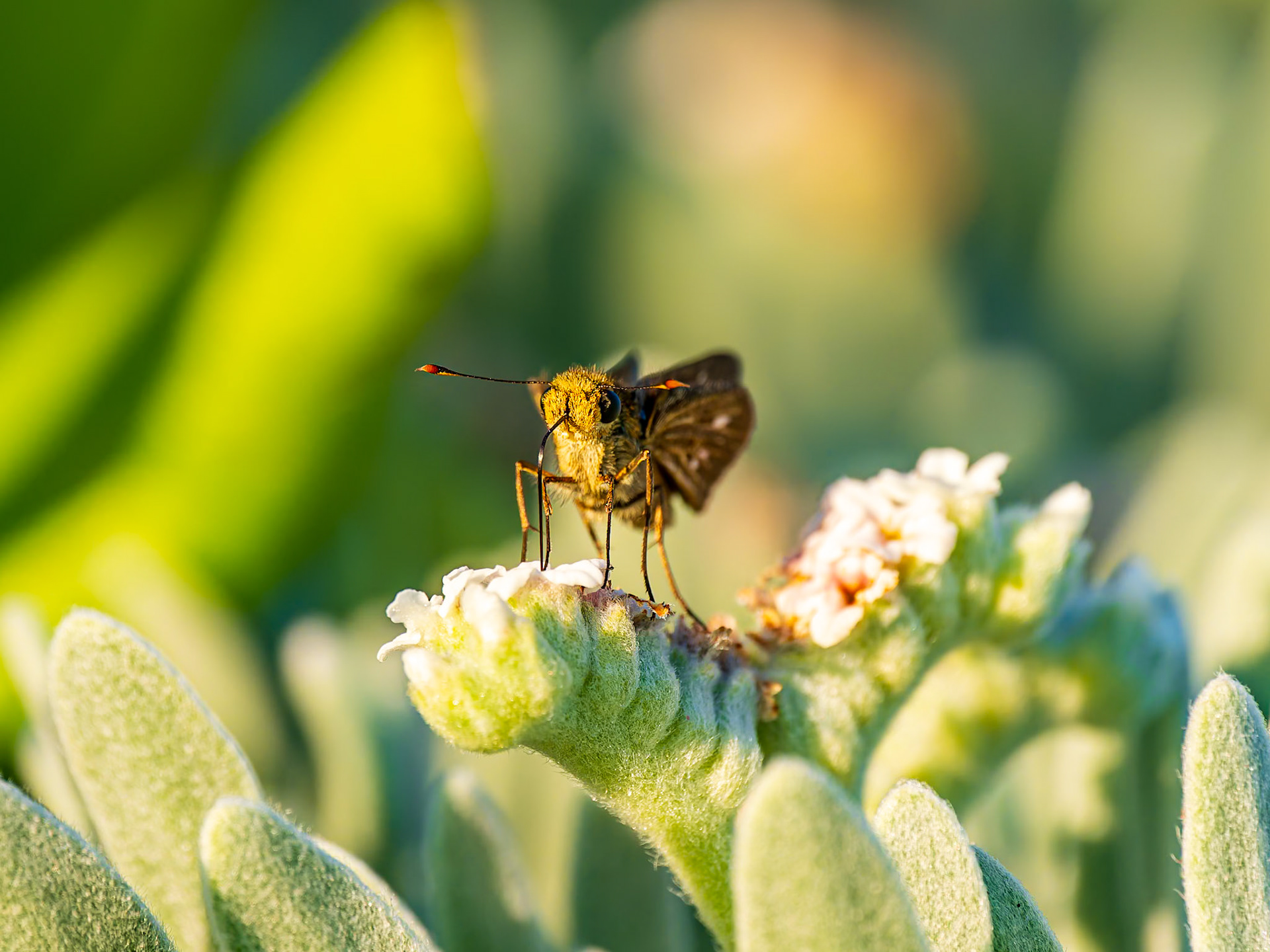 Northwest Point, Providenciales, Turks and Caicos Islands