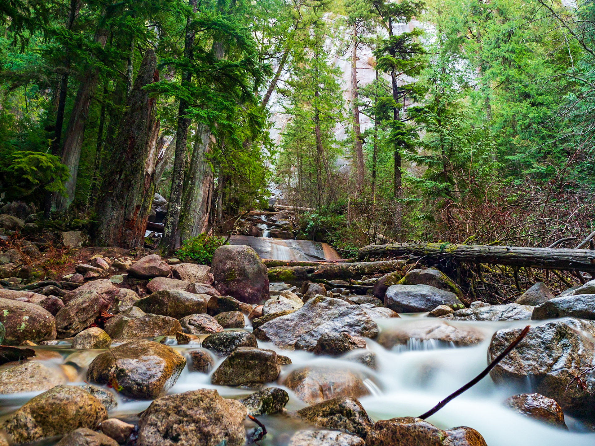Shannon Falls, Sea to Sky Highway 99, Squamish, British Columbia
