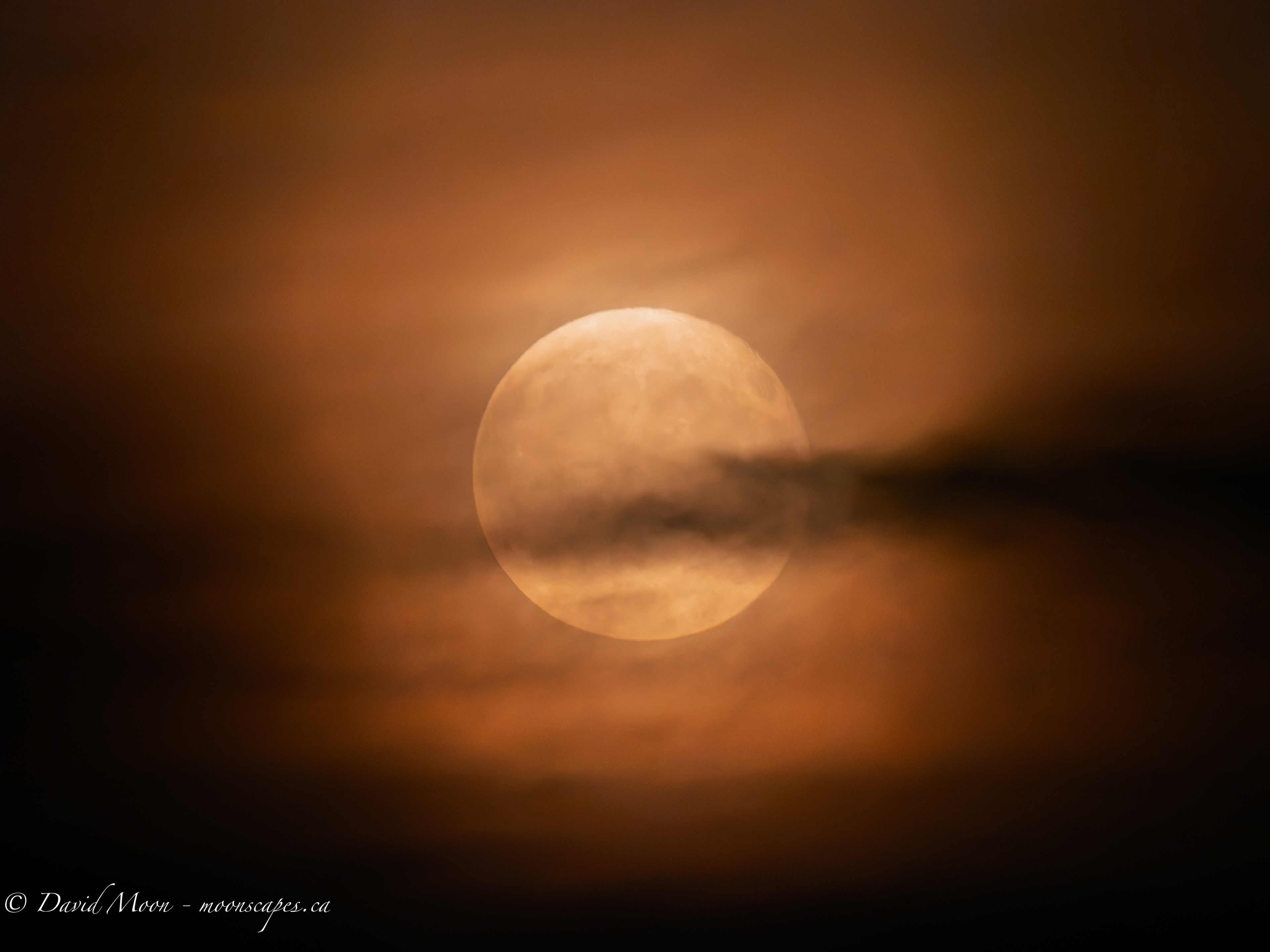 August 9, 9:38 PM - 500mm, 1/13 sec at f/5.6, ISO 4000