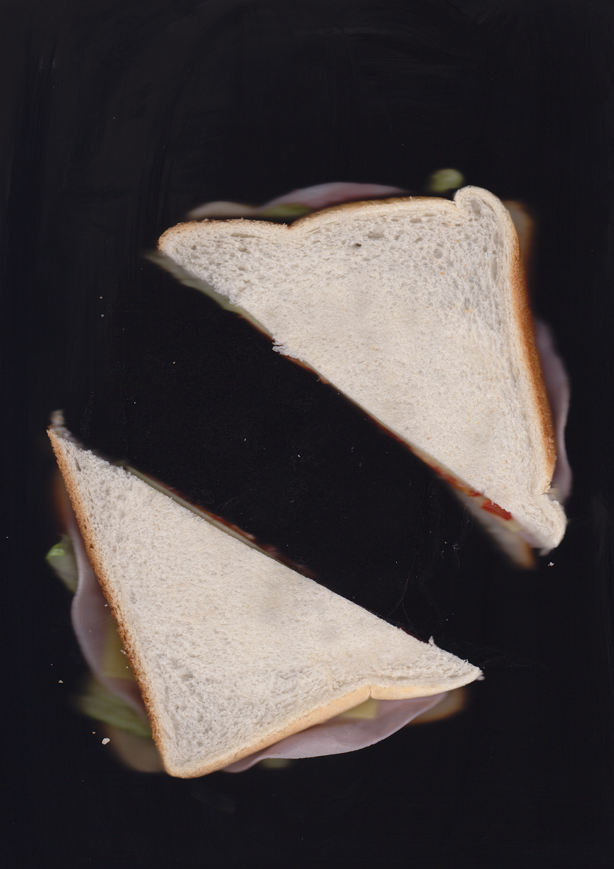 SCANWICH II | sandwich on a scanner, A4