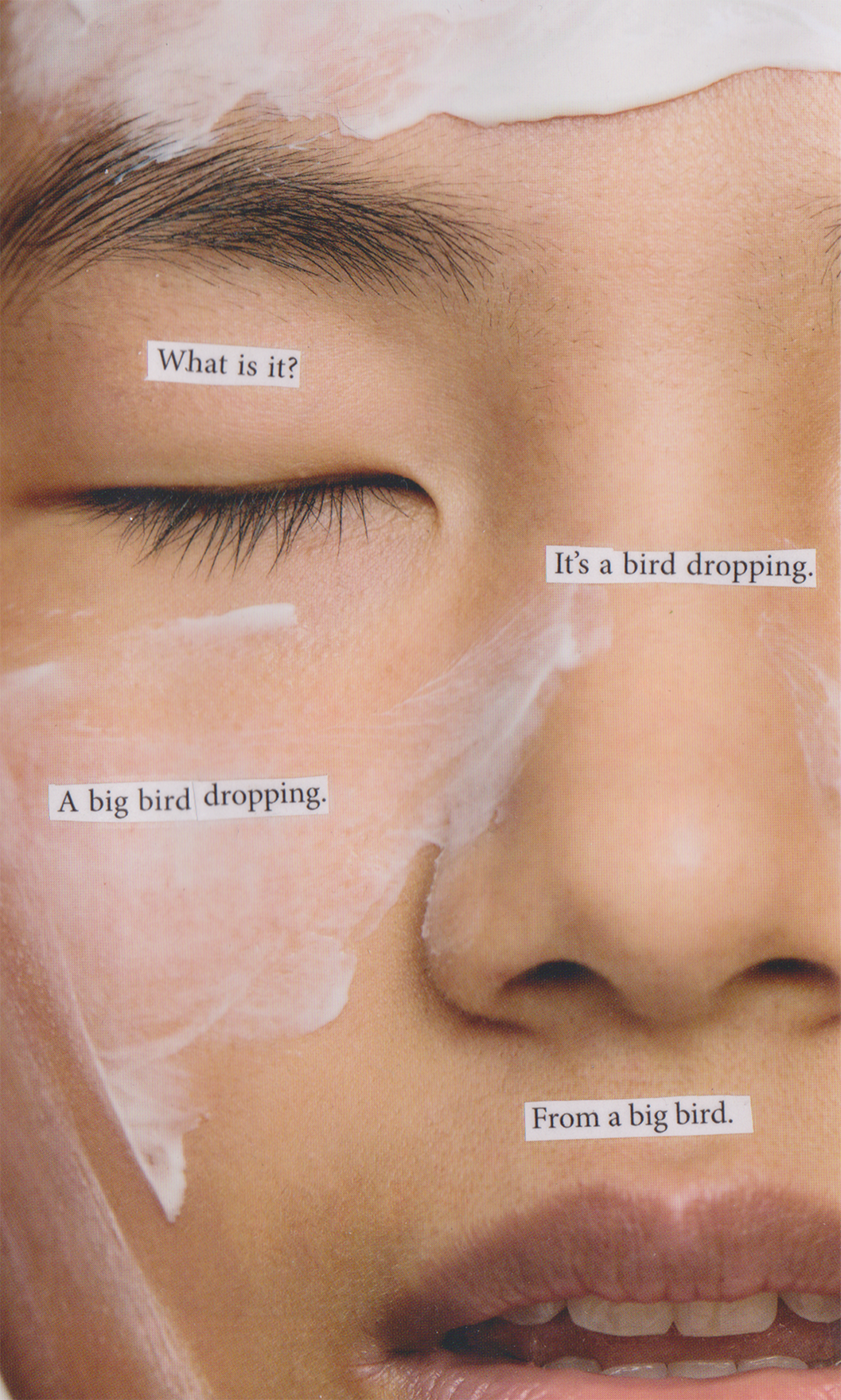 BIRD DROPPINGS | collage