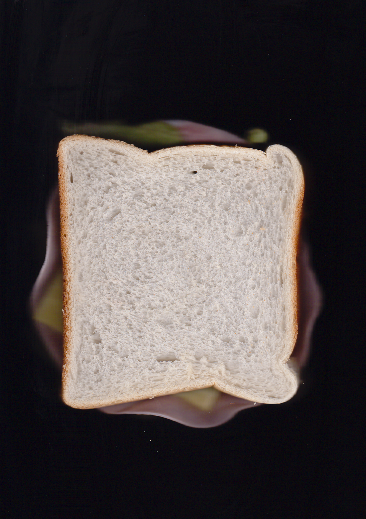 SCANWICH | sandwich on a scanner, A4