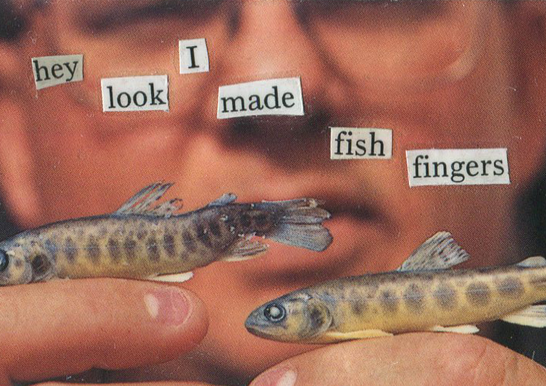 FISH FINGERS | collage