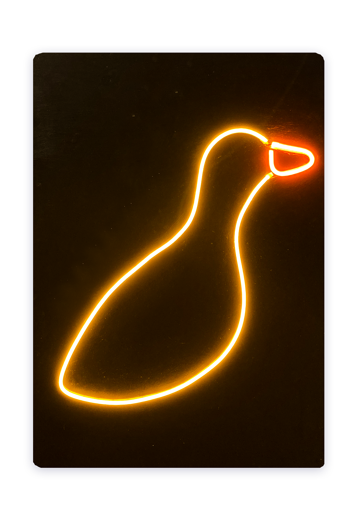 DUCK NEON SIGN