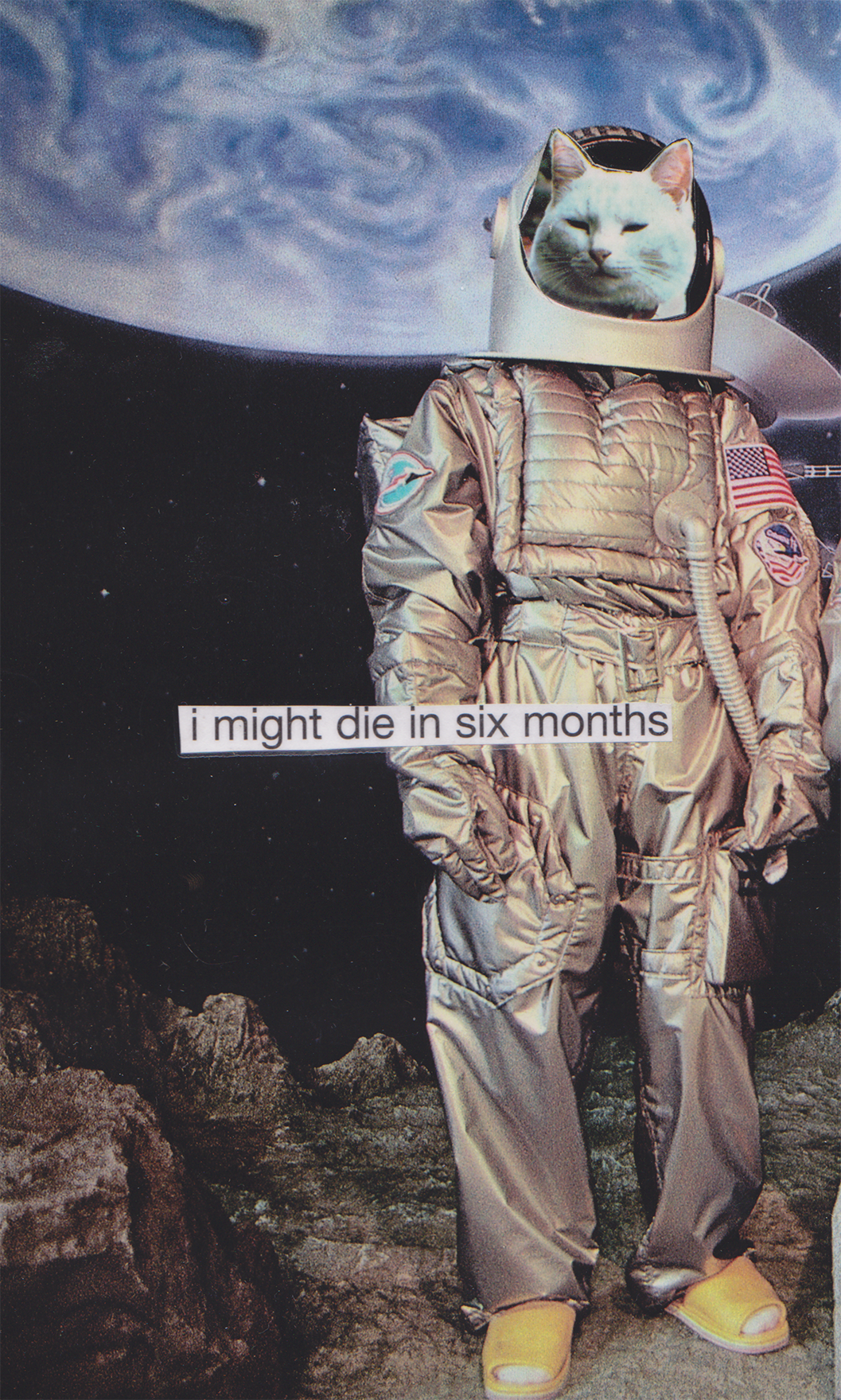 I MIGHT DIE IN SIX MONTHS | collage
