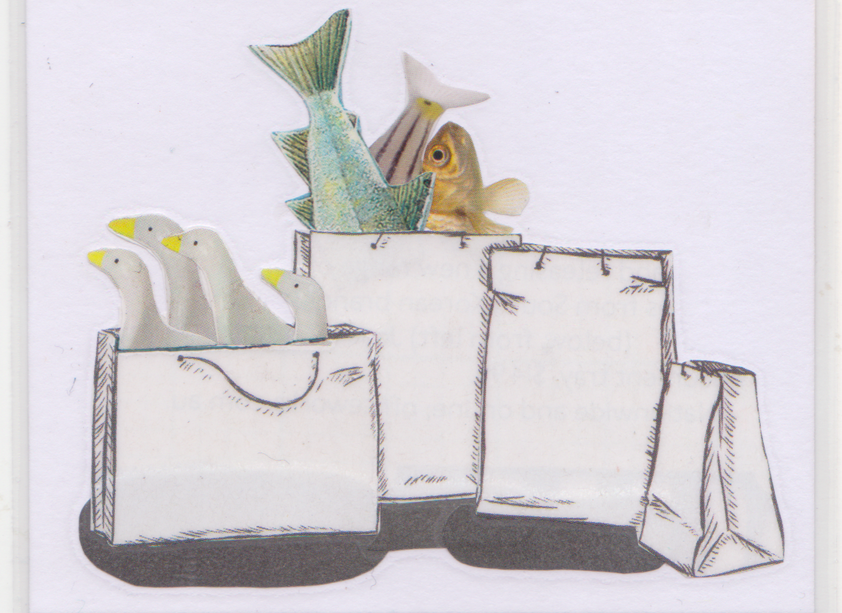GROCERIES | collage