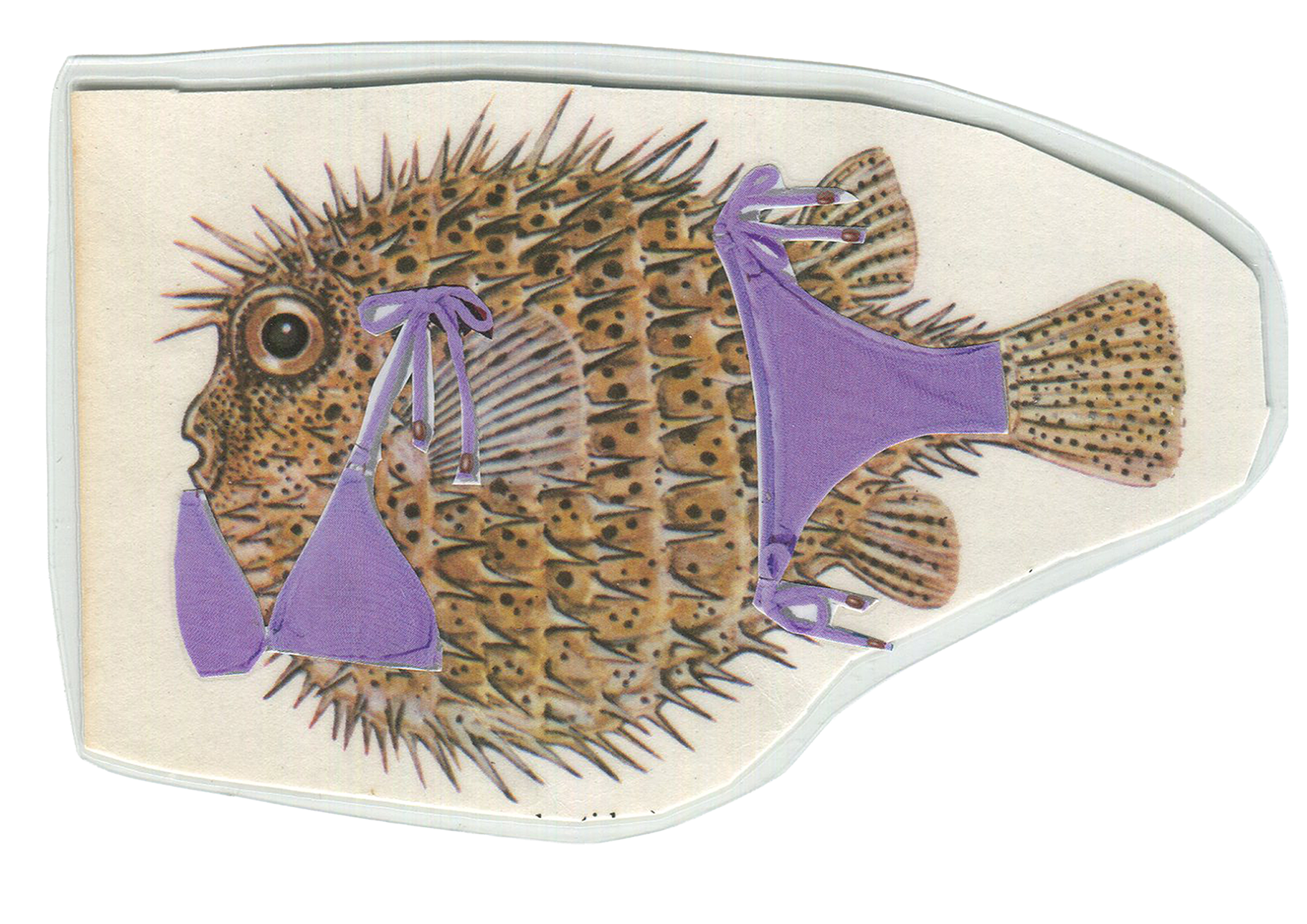 IF A PUFFER WORE A BIKINI | collage